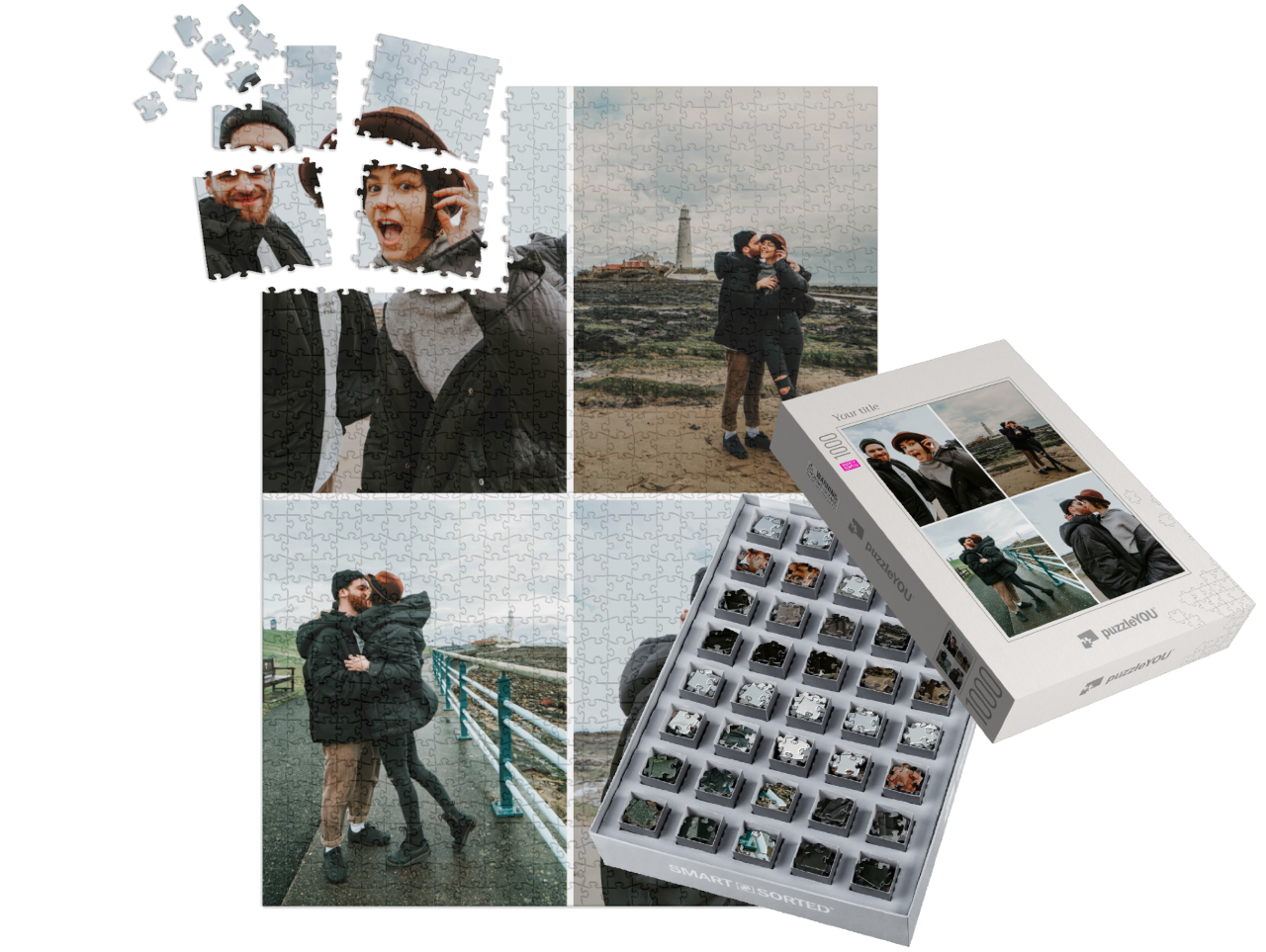 smart-sorted-puzzle-1000||pieces-with-box