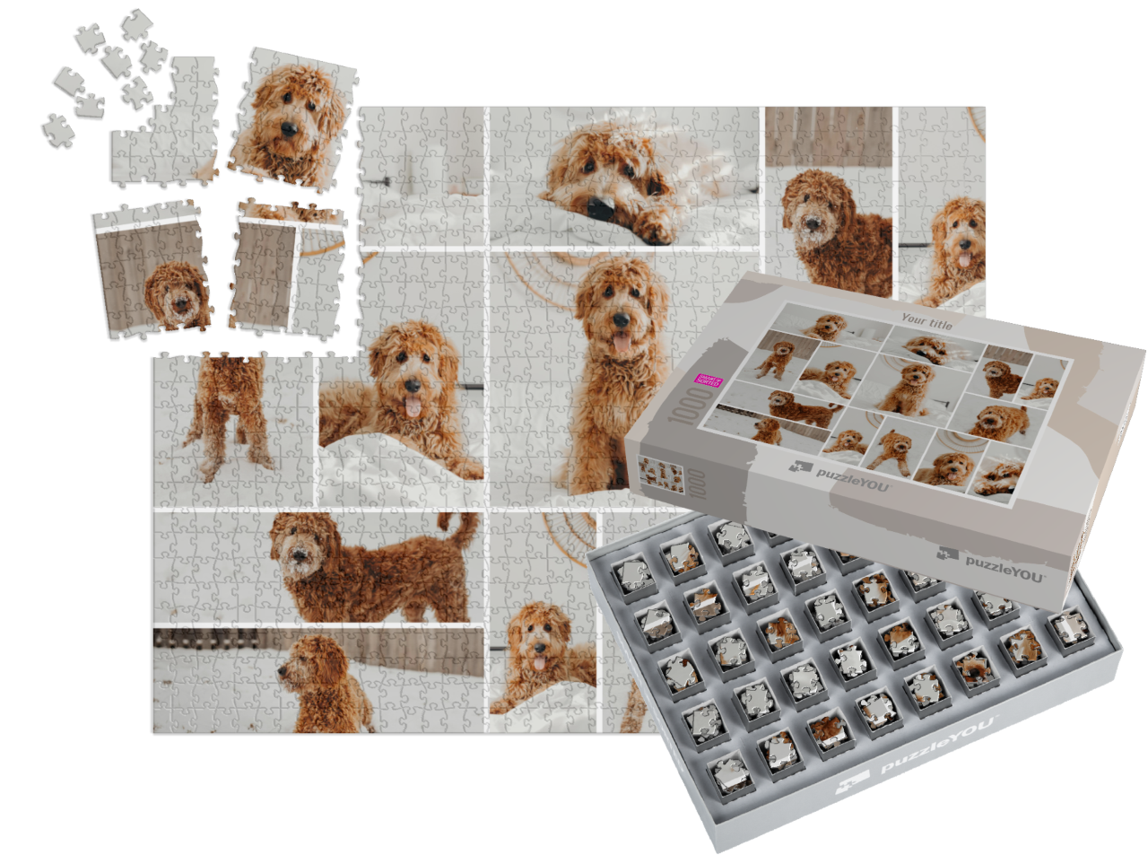 smart-sorted-puzzle-1000||pieces-with-box