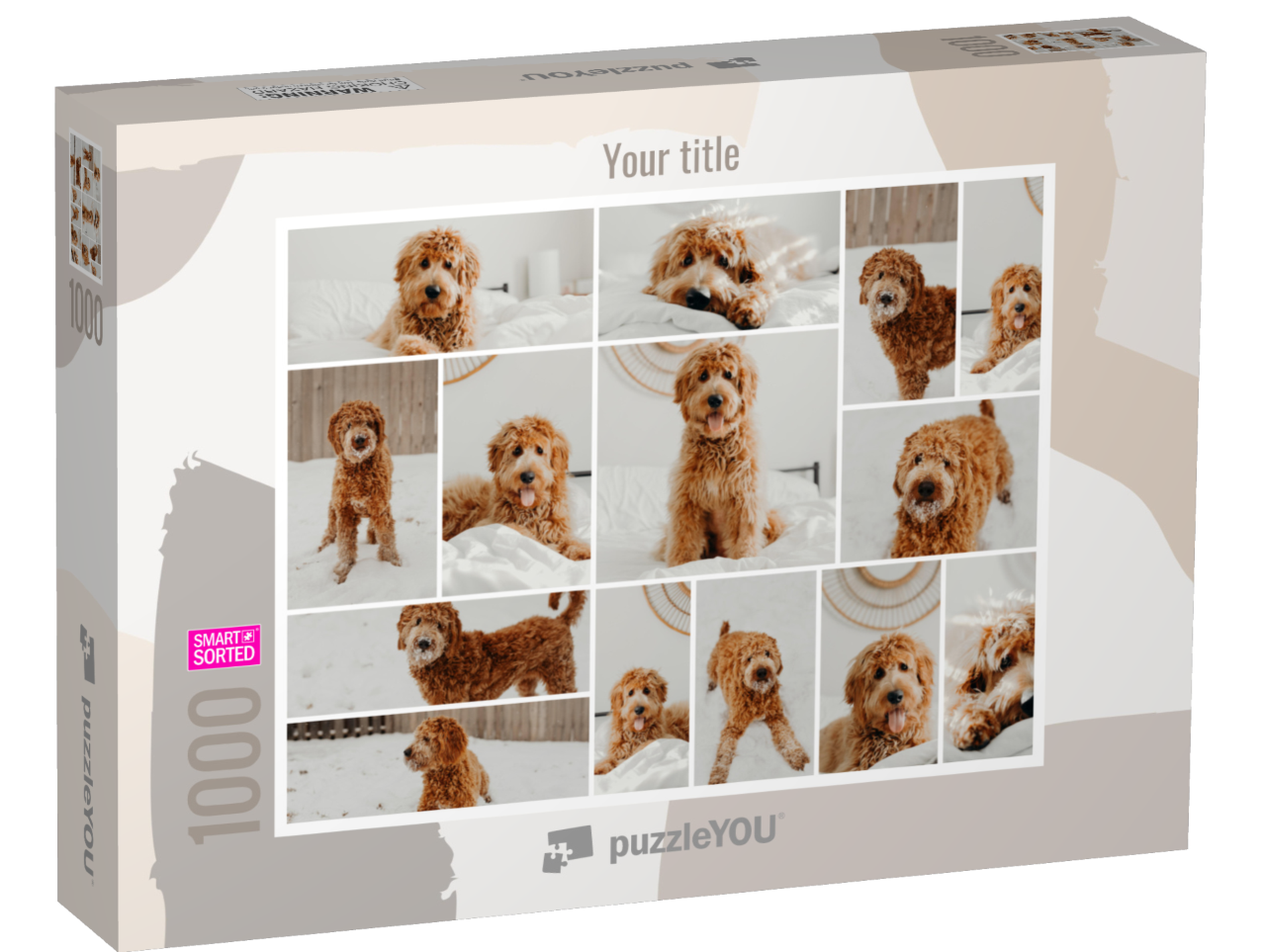 smart-sorted-puzzle-1000||box