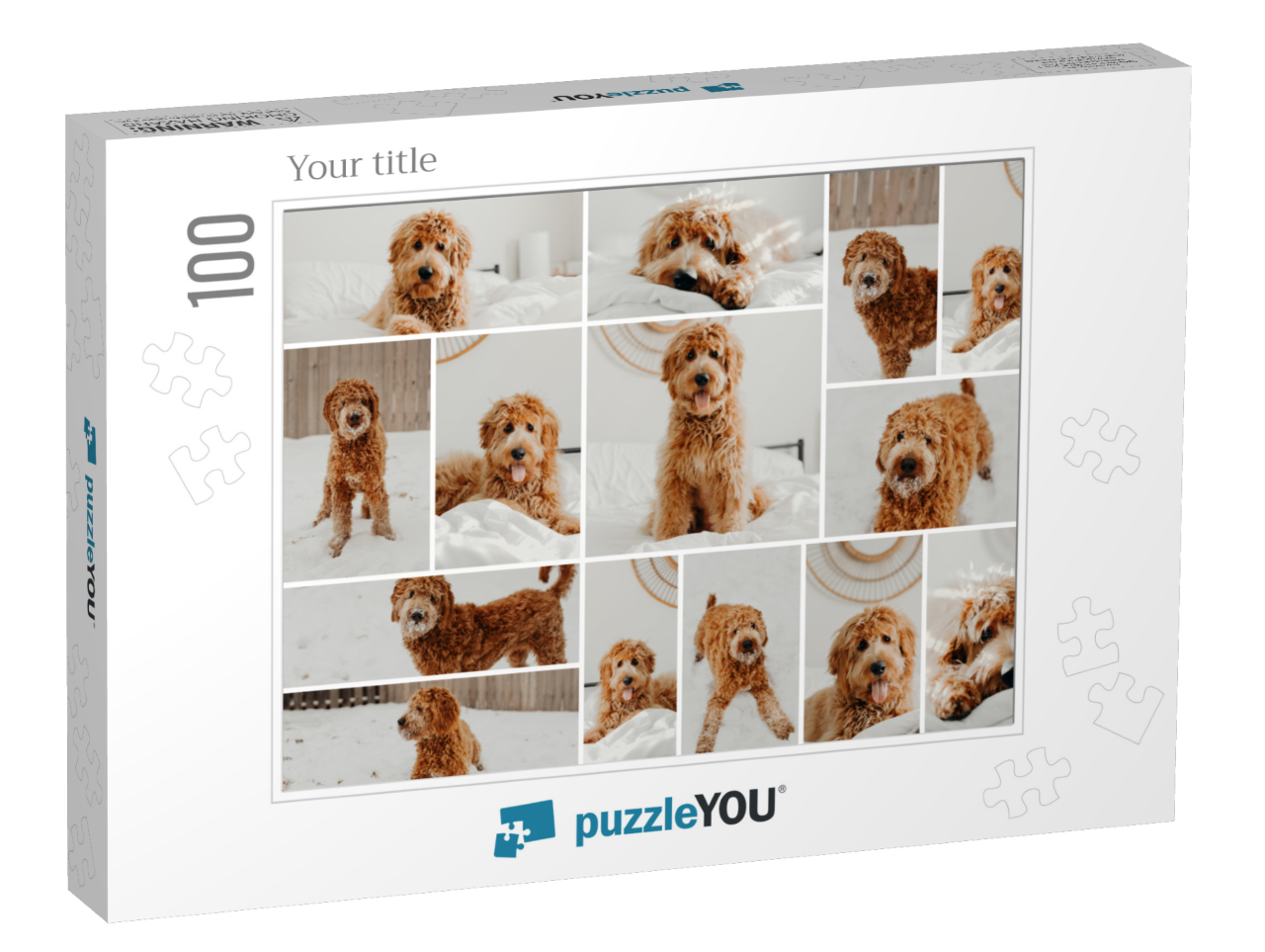 puzzle-100||box