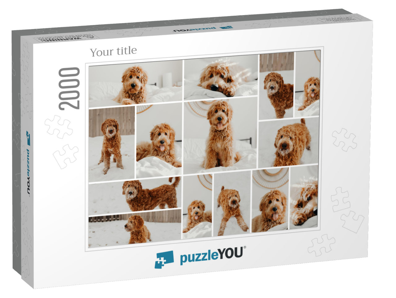 puzzle-2000-usa-2021||box