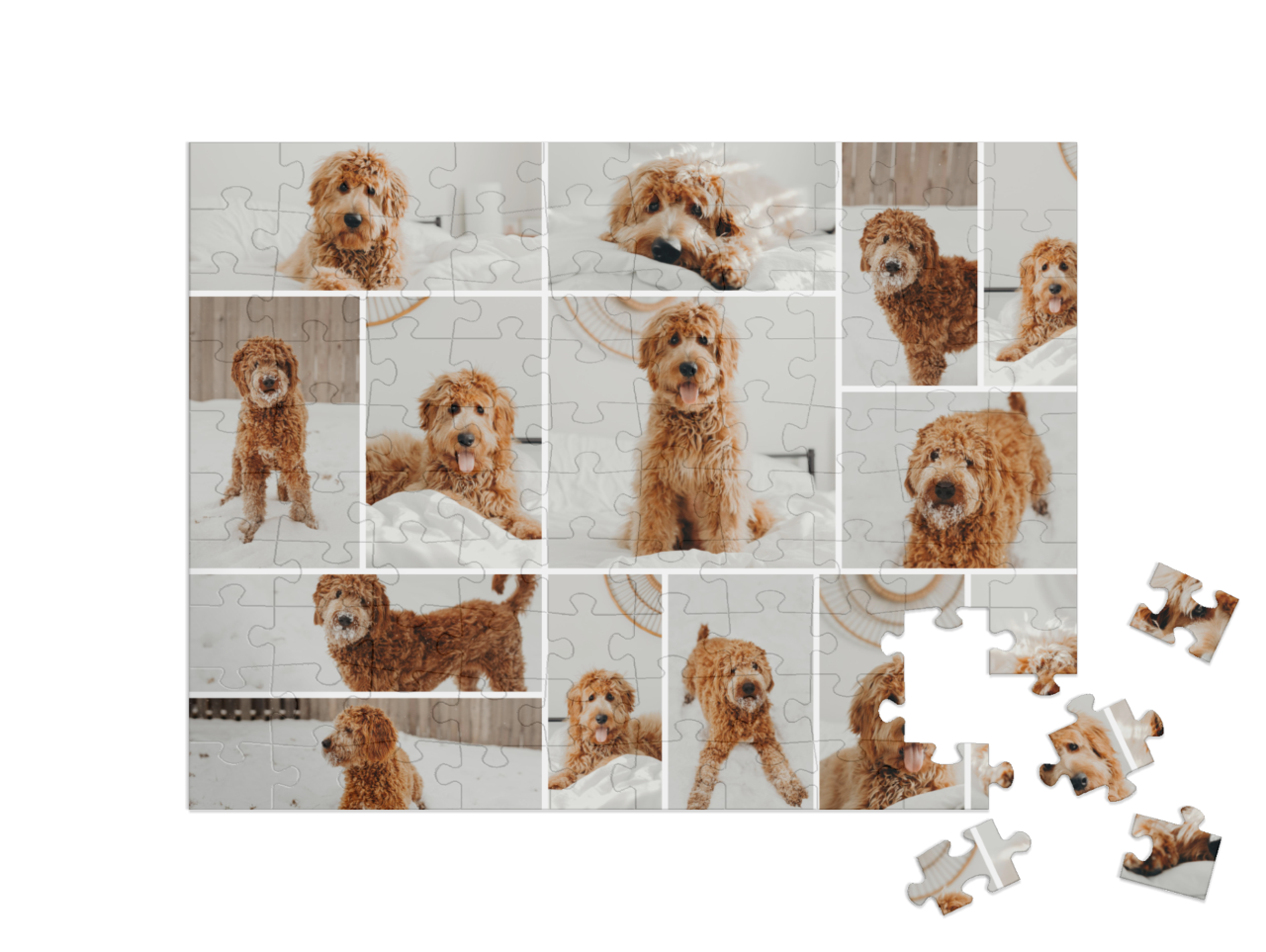 theme-puzzle-children-100||pieces