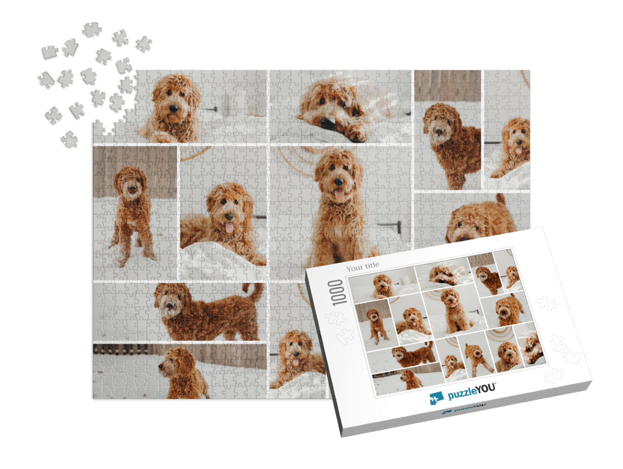 usa_puzzle-1000-box-small||pieces-with-box