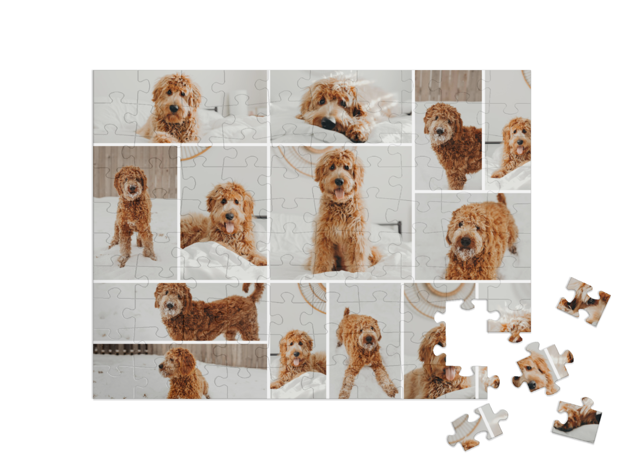 theme-puzzle-children-100||pieces