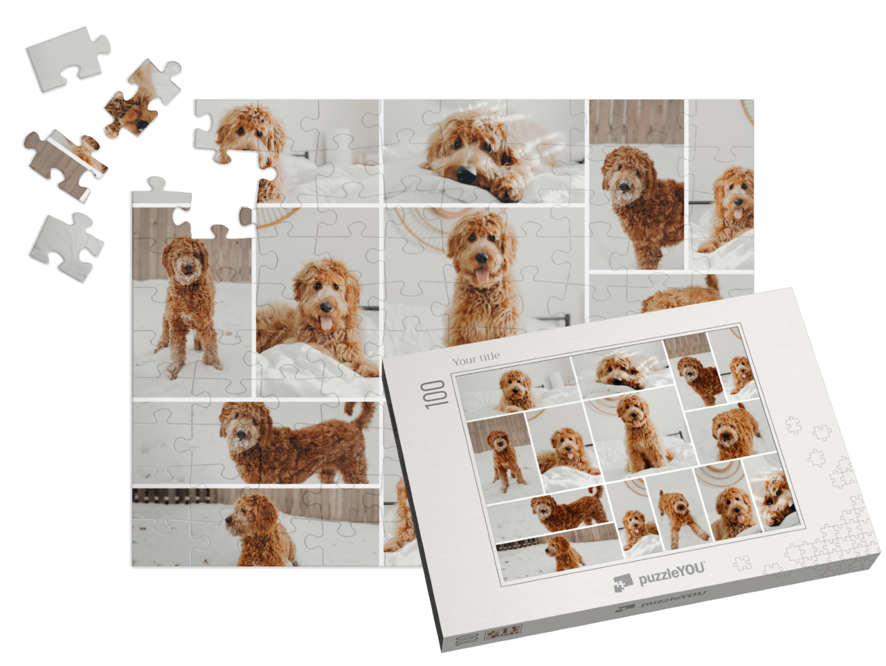 theme-puzzle-children-100||pieces-with-box