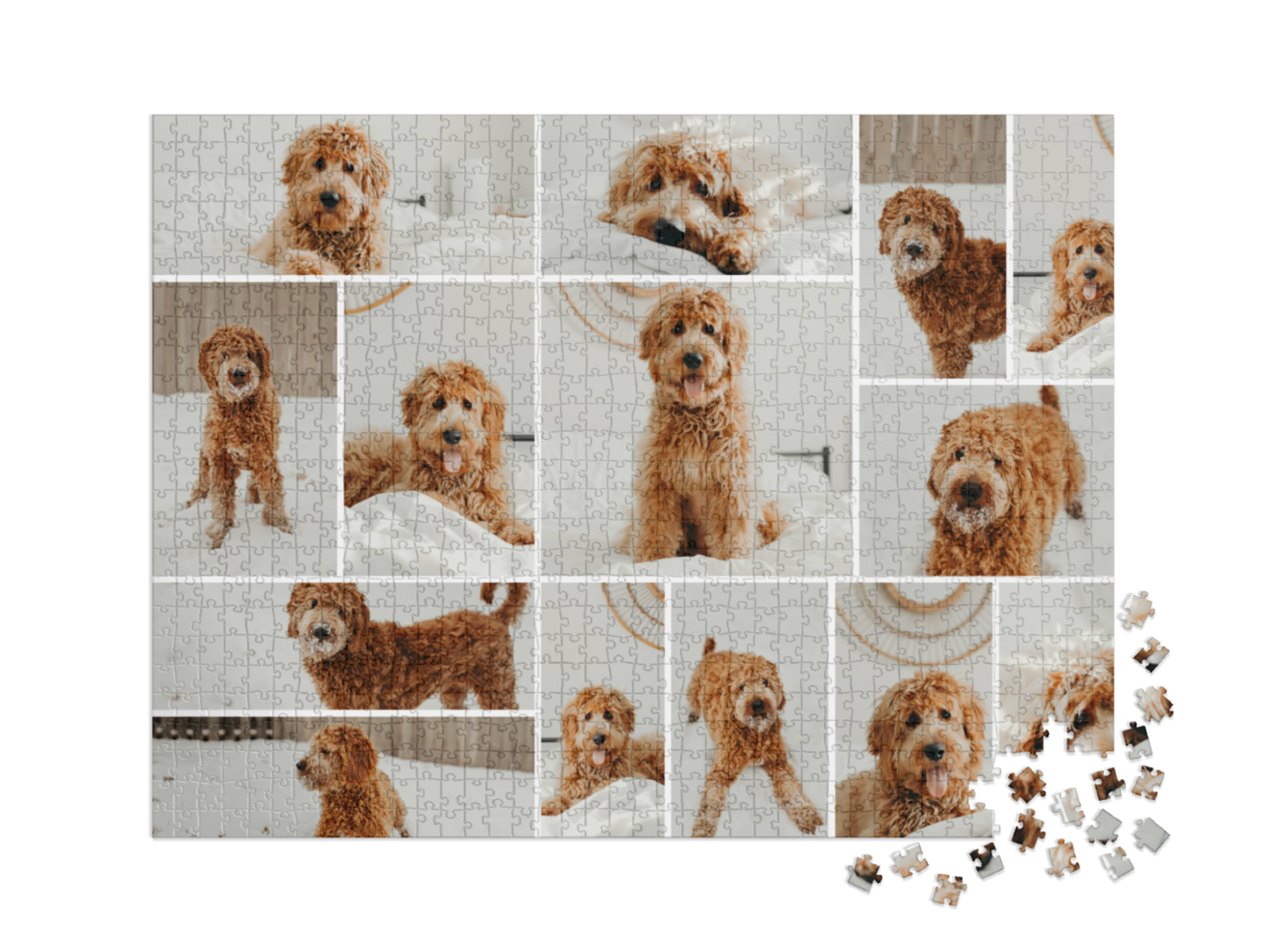 puzzle-1000-xxl-usa-2023||pieces