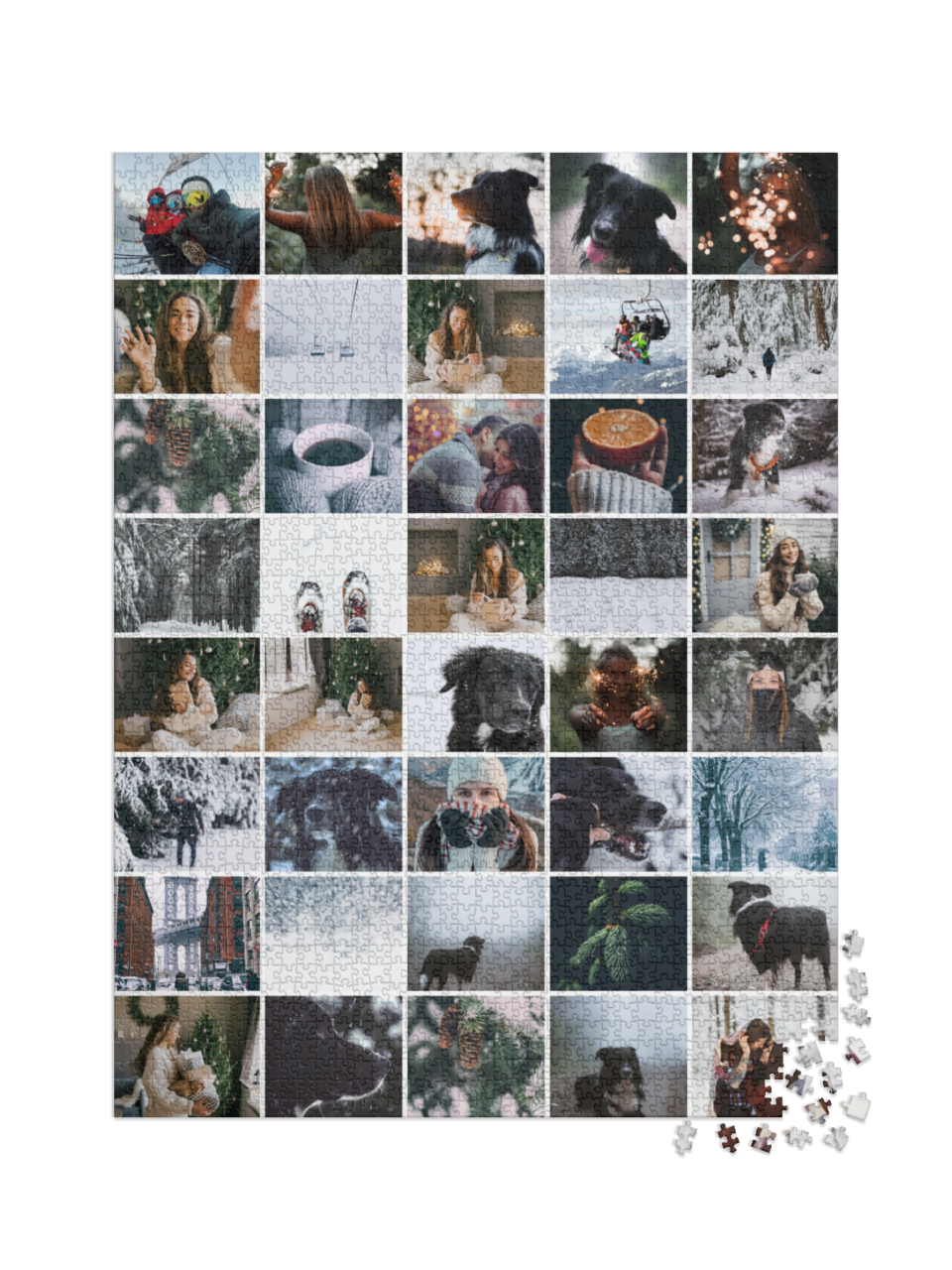 usa_puzzle-2000-usa-2021||pieces