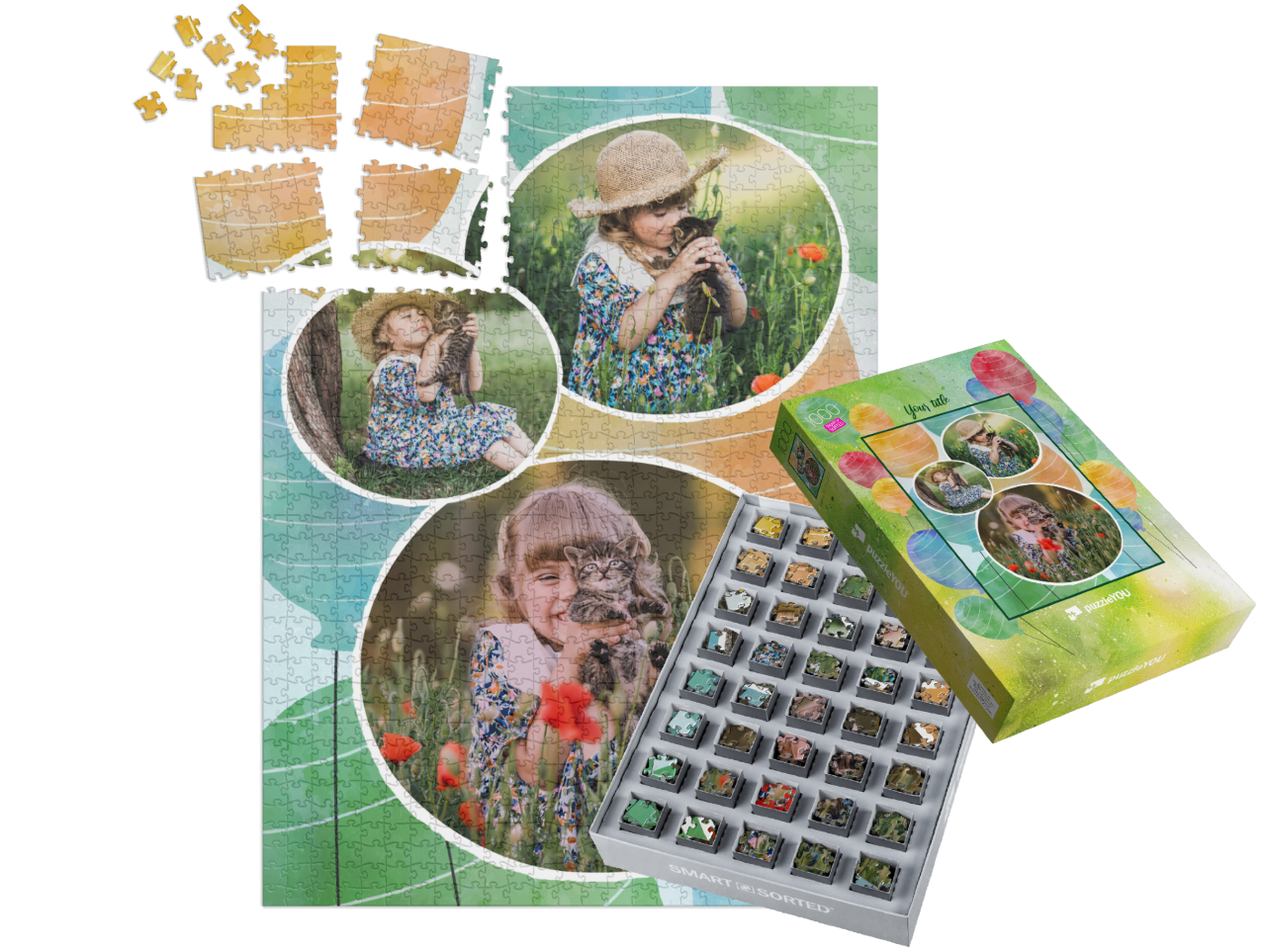 smart-sorted-puzzle-1000||pieces-with-box