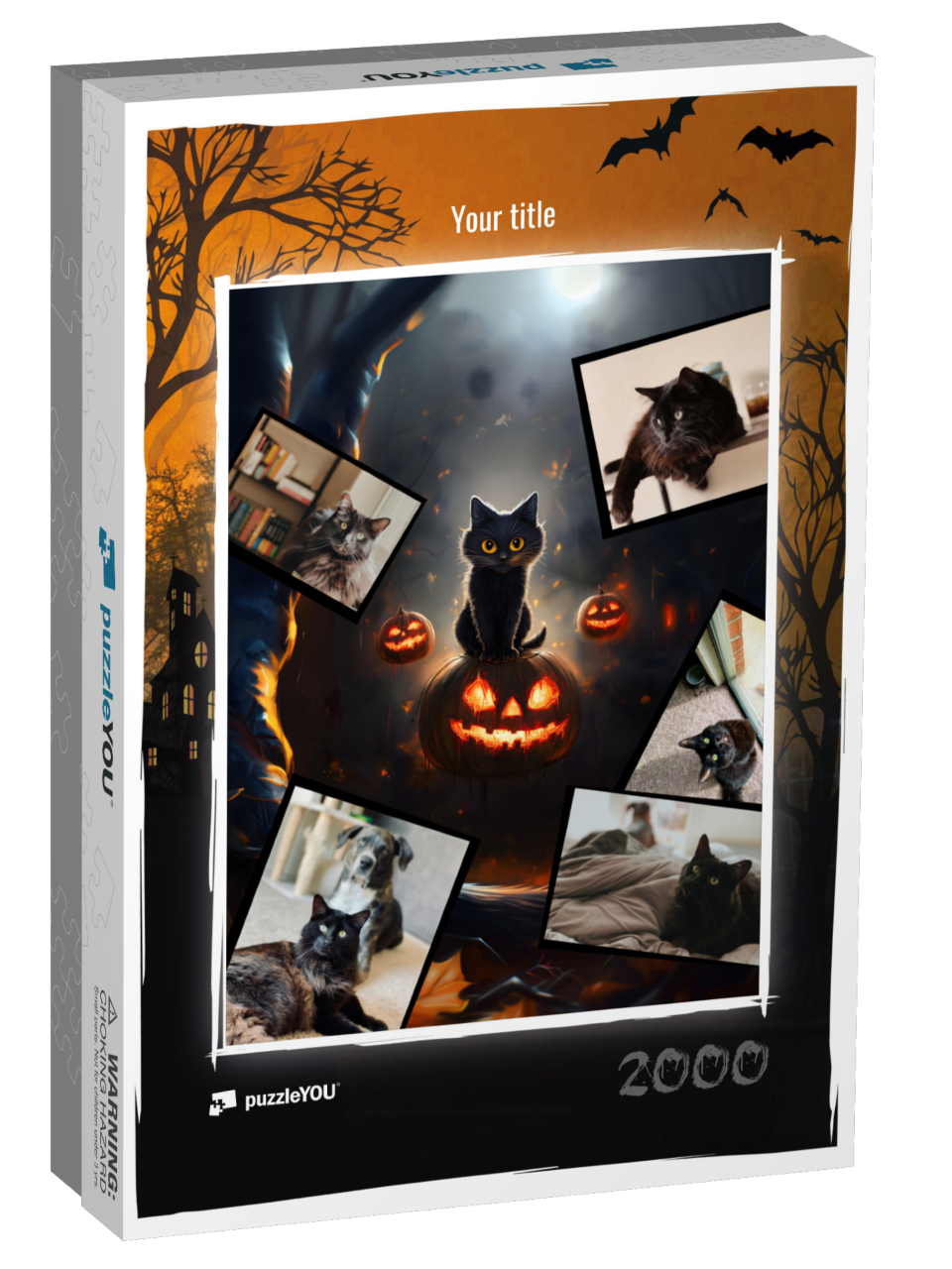 puzzle-2000-usa-2021||box