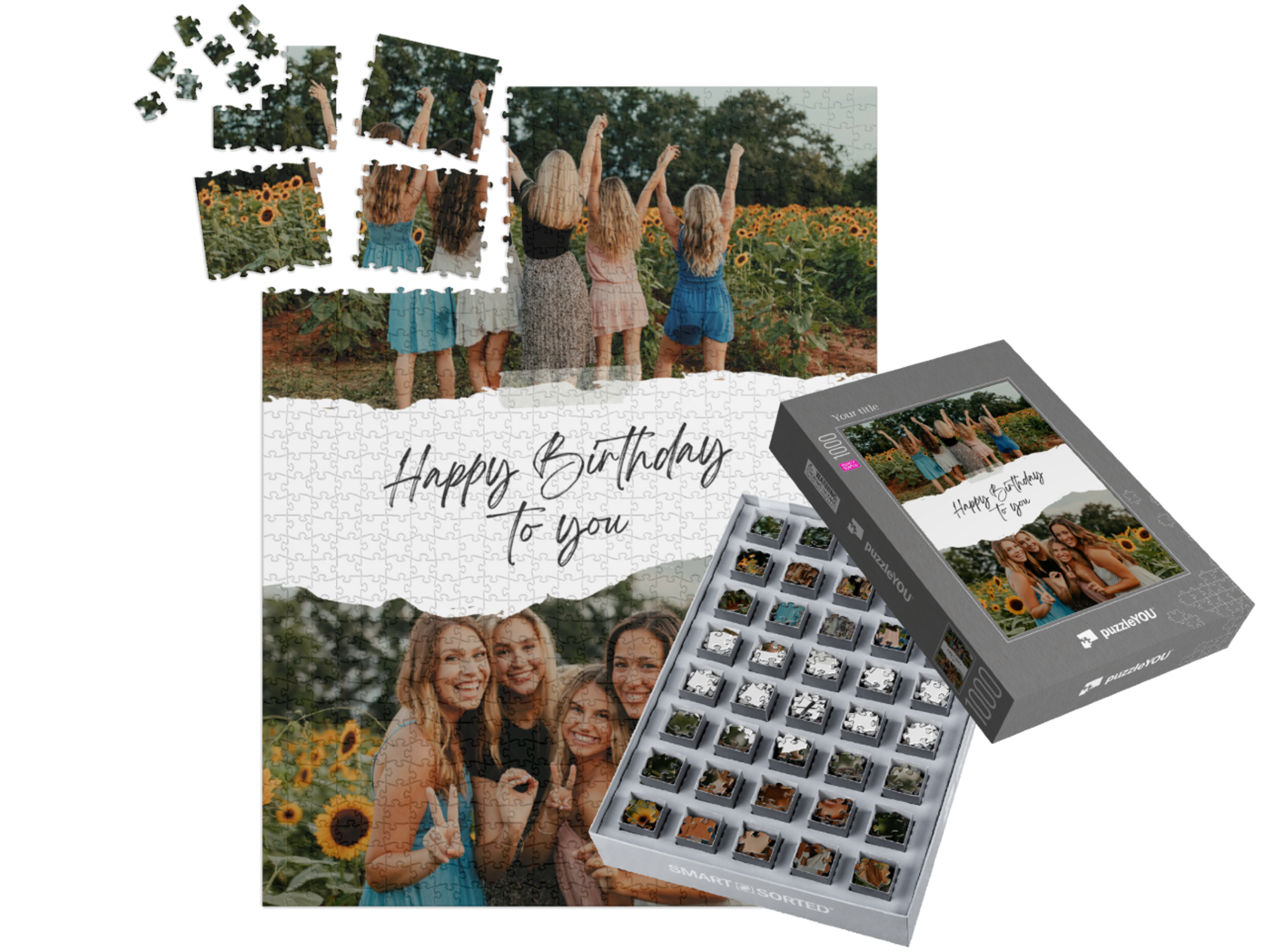 smart-sorted-puzzle-1000||pieces-with-box