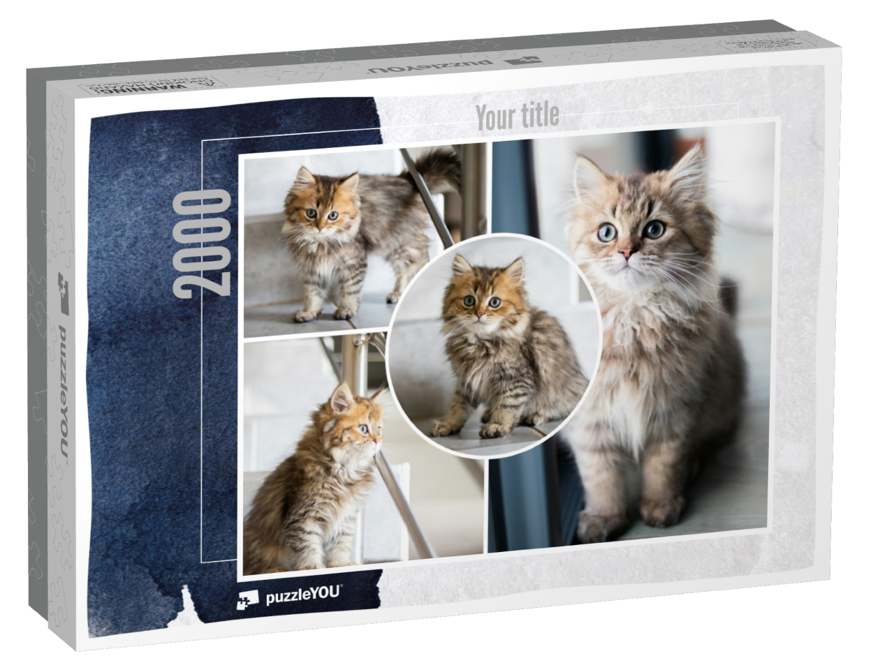 puzzle-2000-usa-2021||box