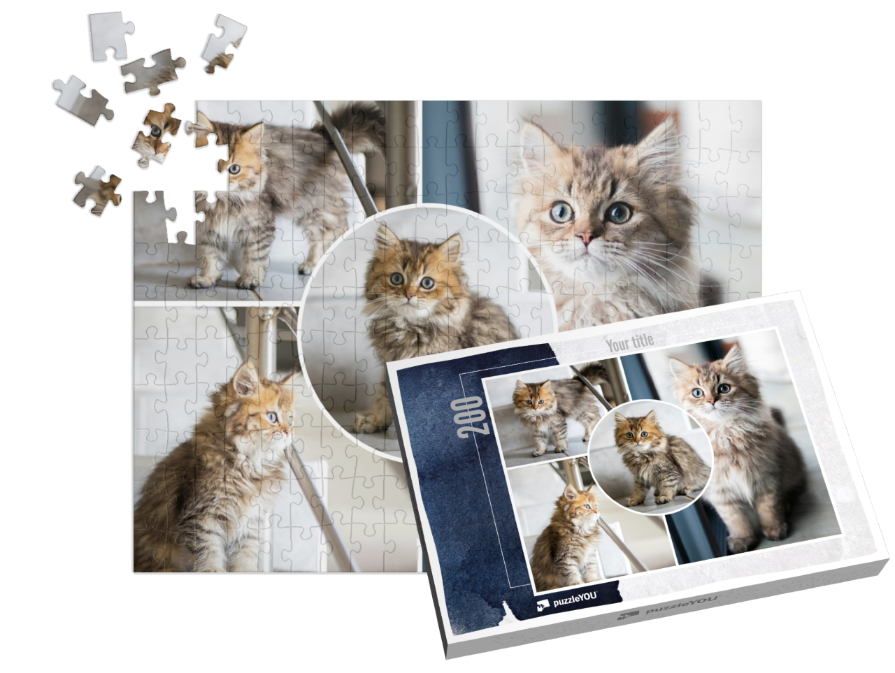 puzzle-200||pieces-with-box