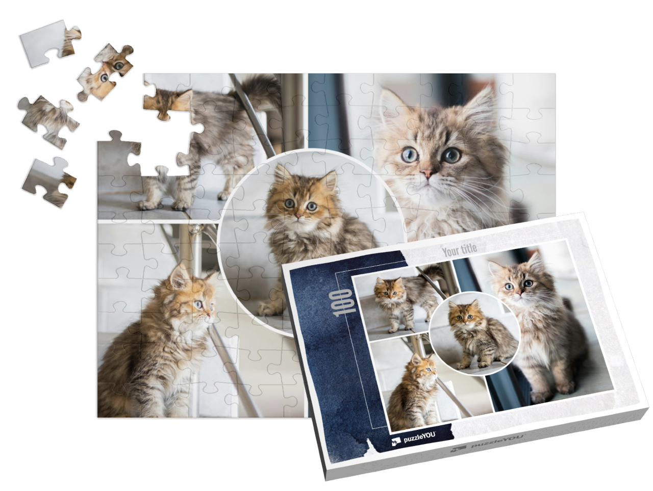 puzzle-100||pieces-with-box