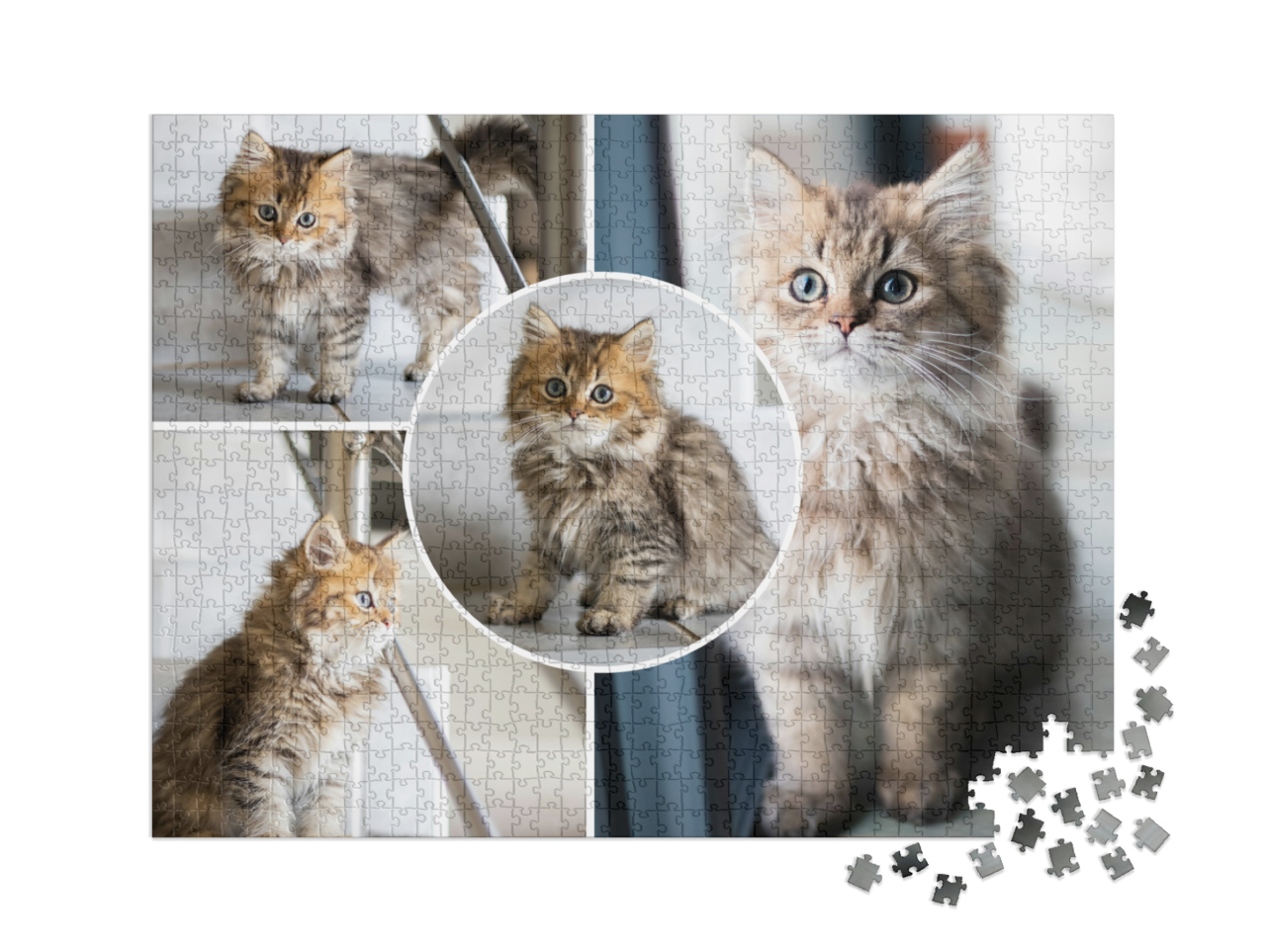 puzzle-1000-xxl-usa-2023||pieces