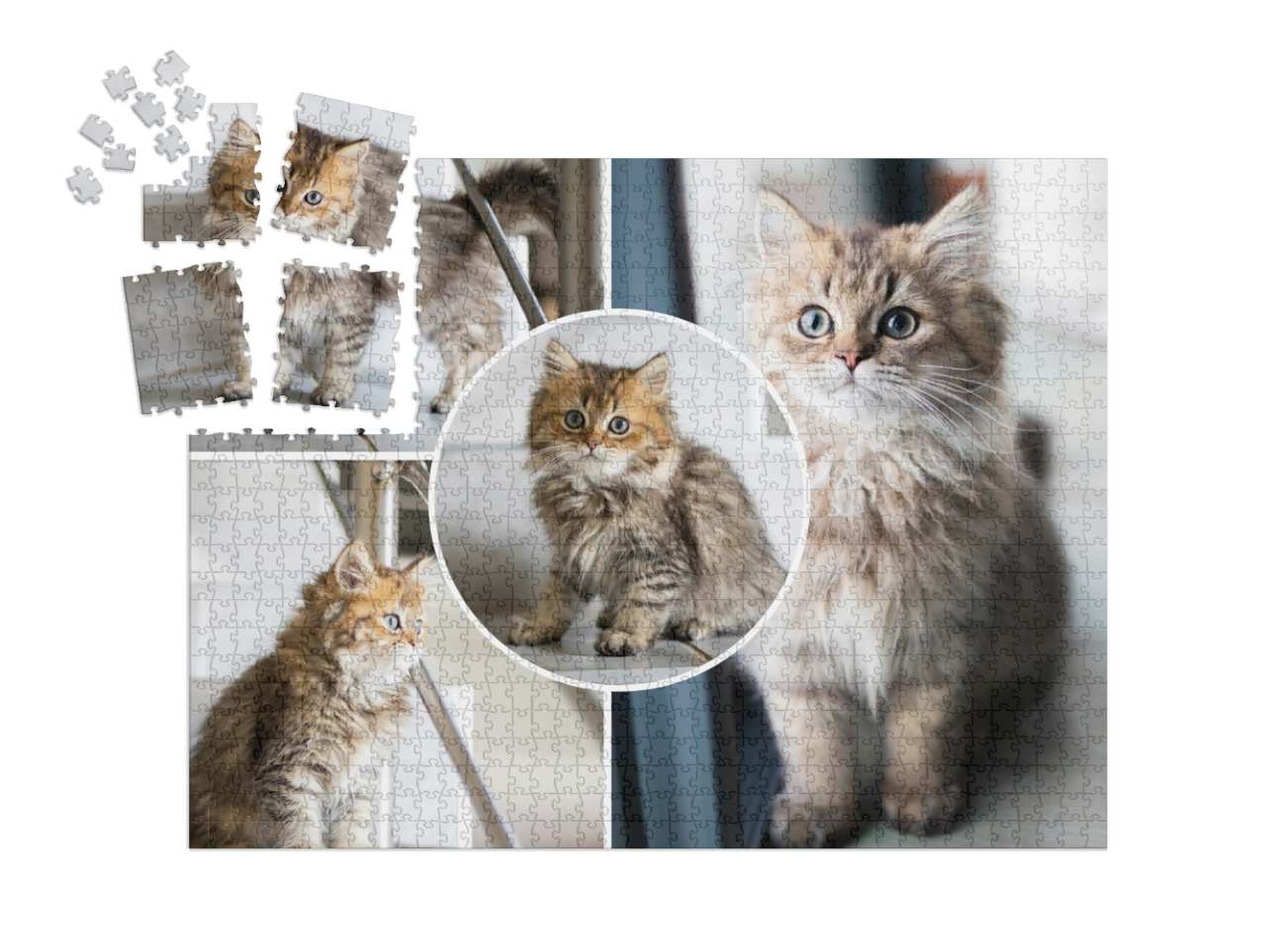 smart-sorted-puzzle-1000||pieces