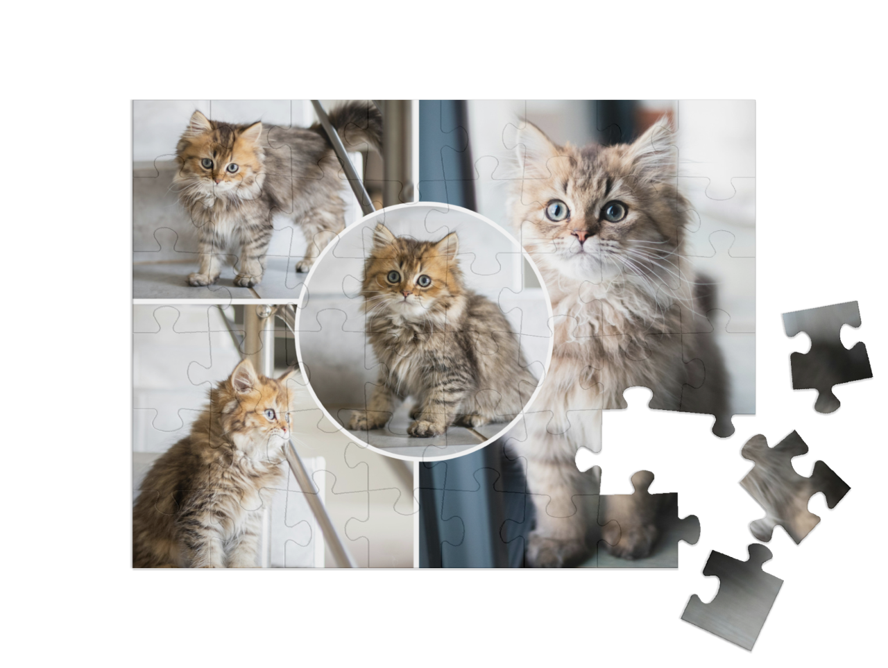 usa_puzzle-48||pieces