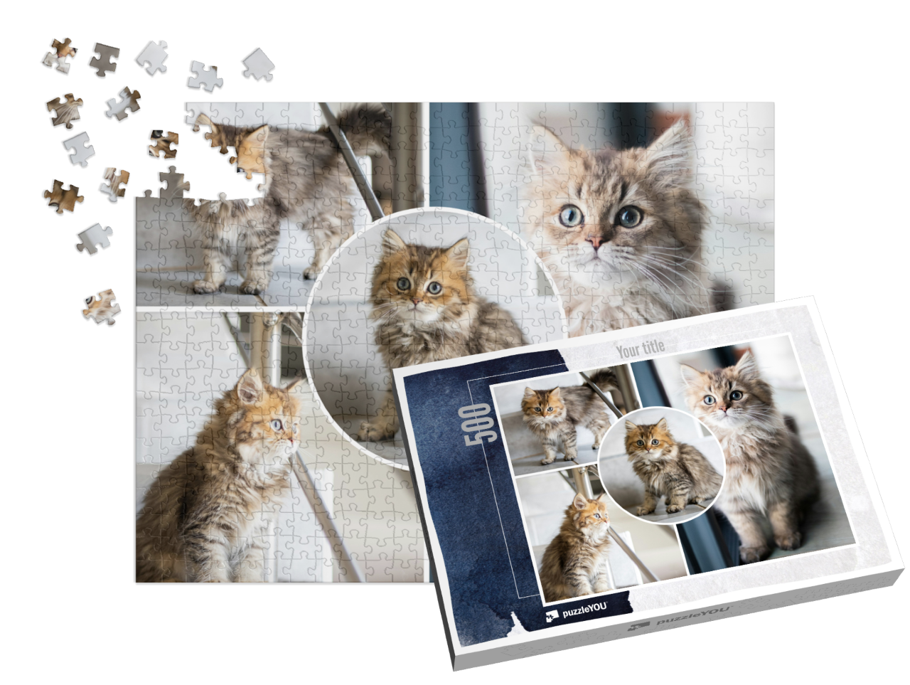 puzzle-500||pieces-with-box