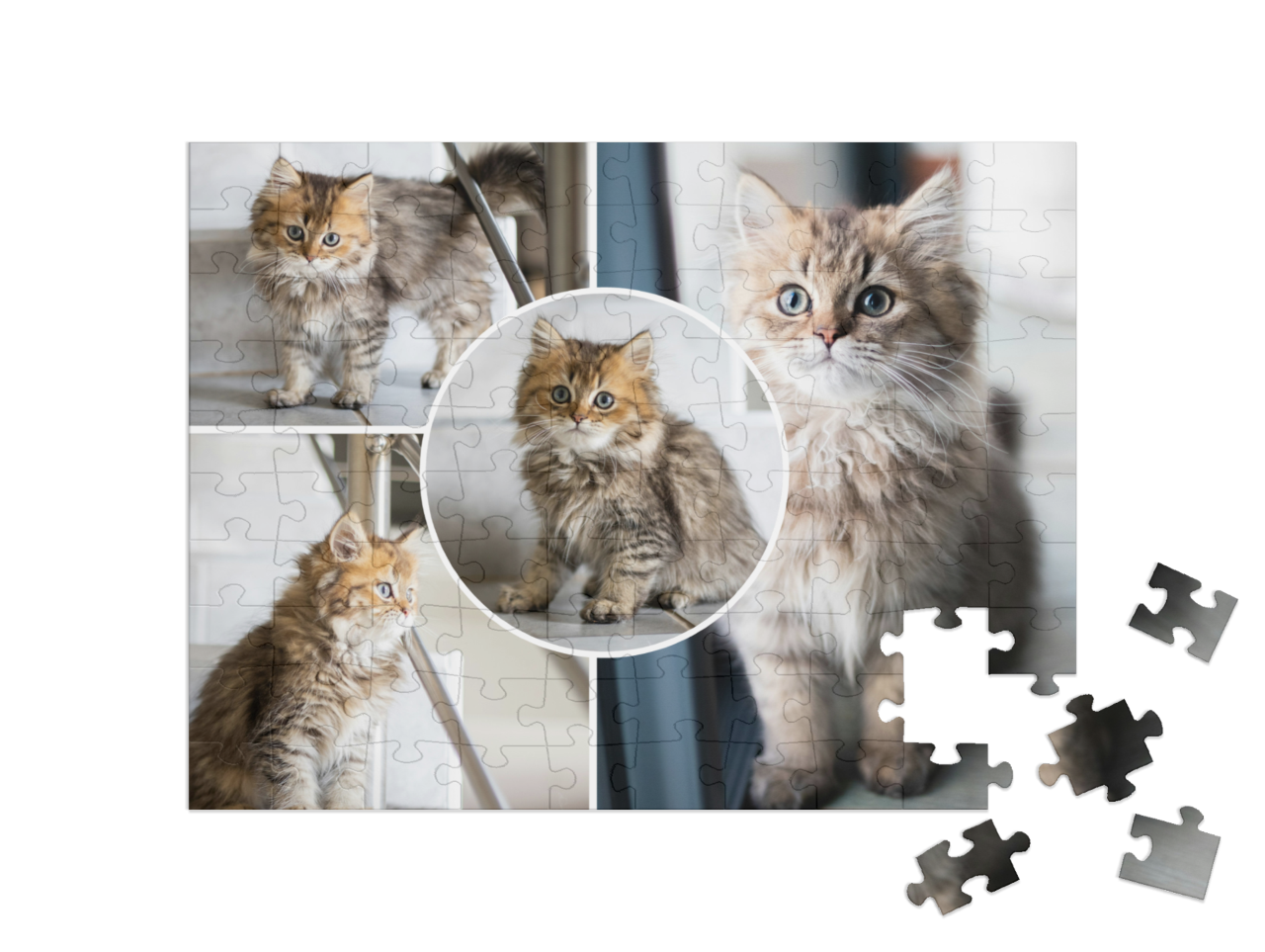 puzzle-100||pieces