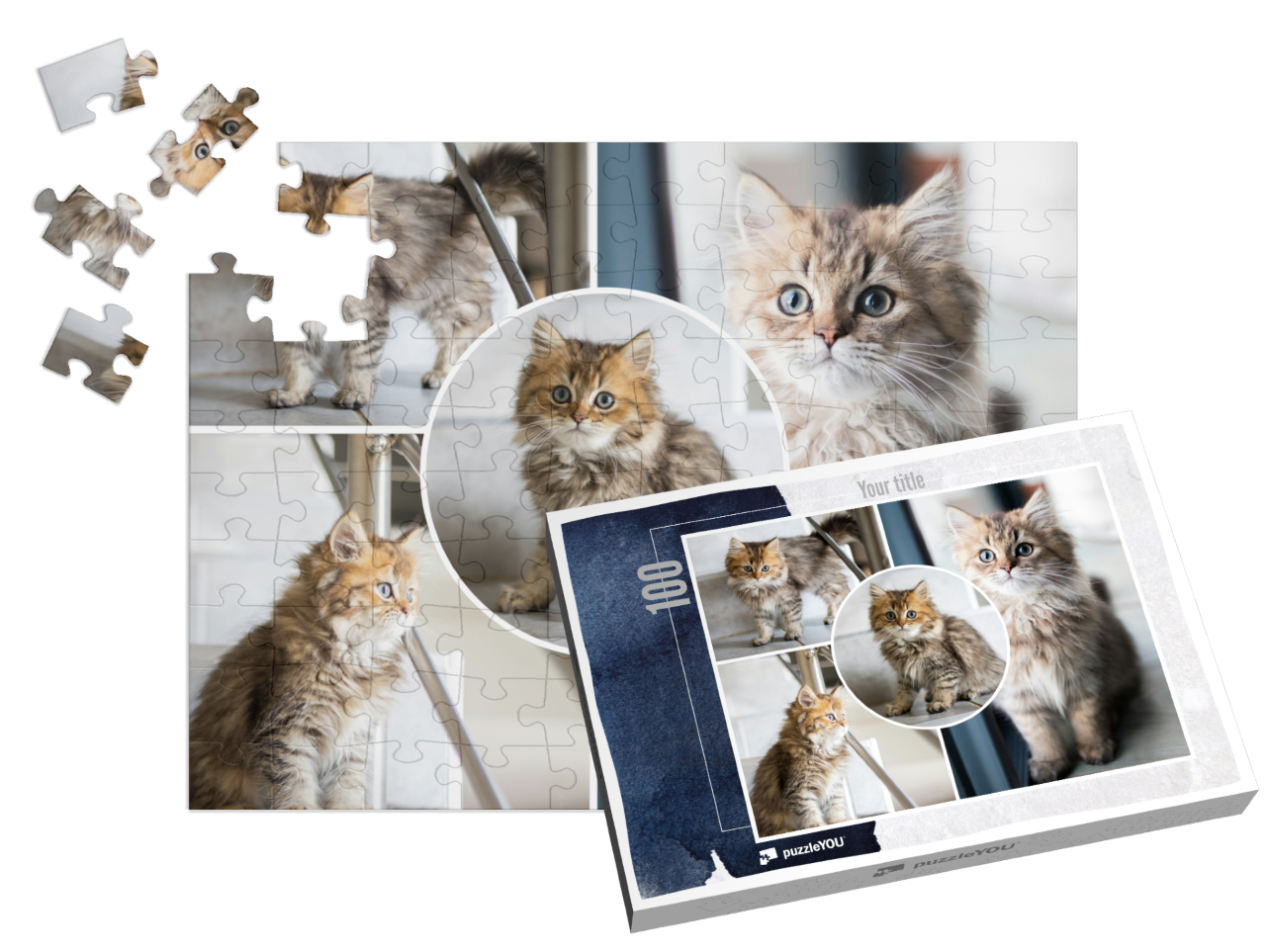 puzzle-100||pieces-with-box