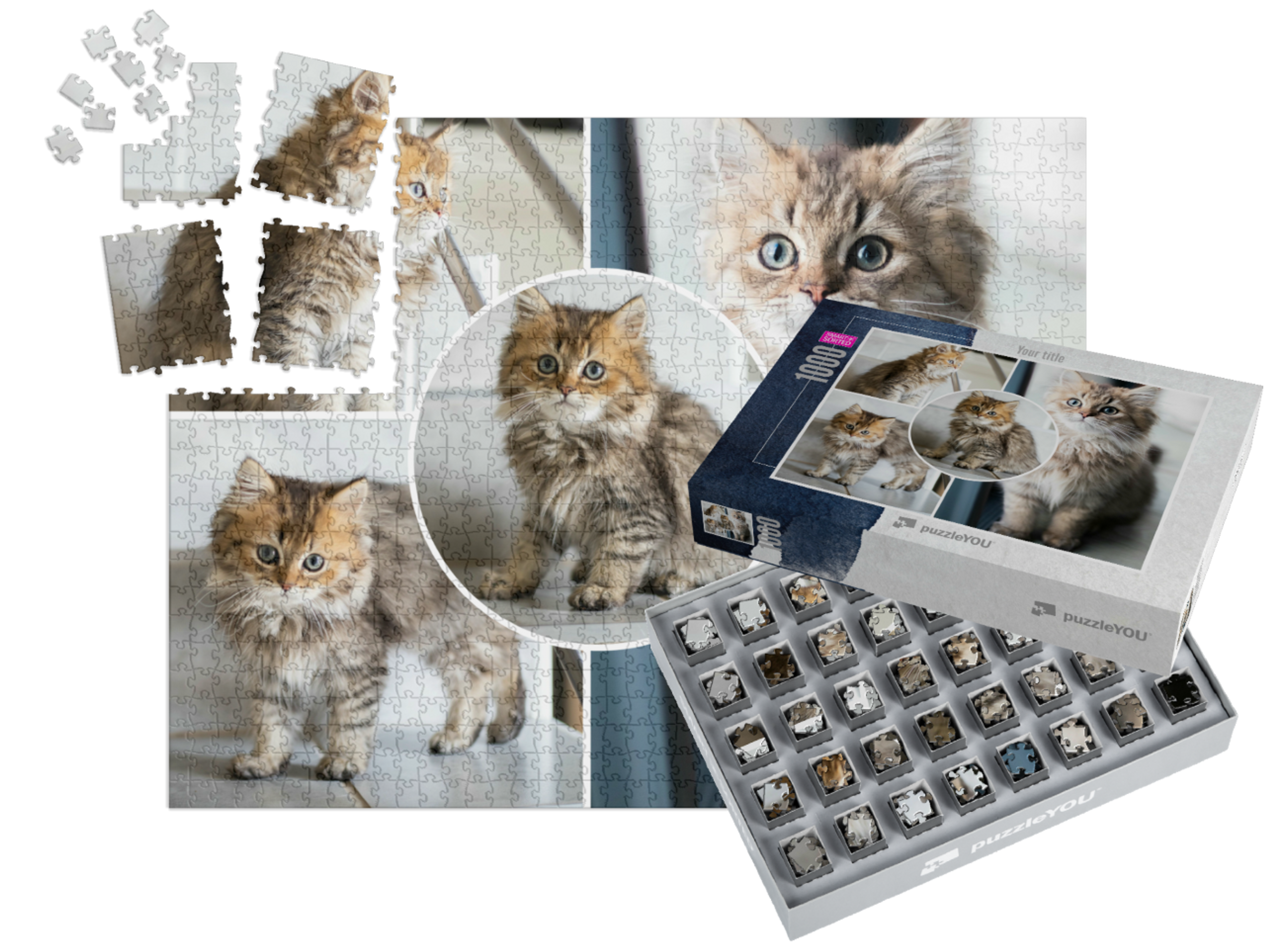 smart-sorted-puzzle-1000||pieces-with-box