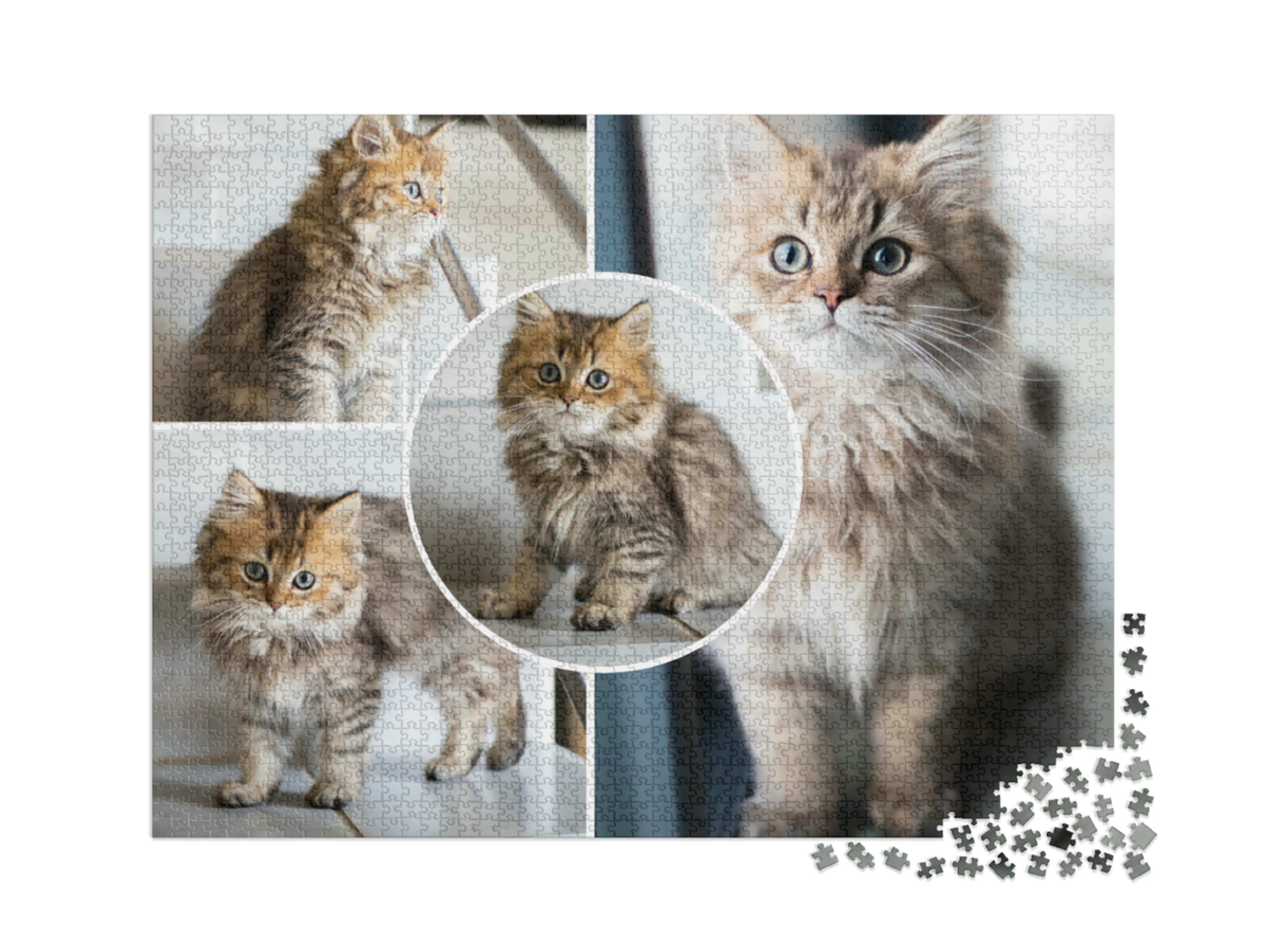 puzzle-2000-usa-2021||pieces