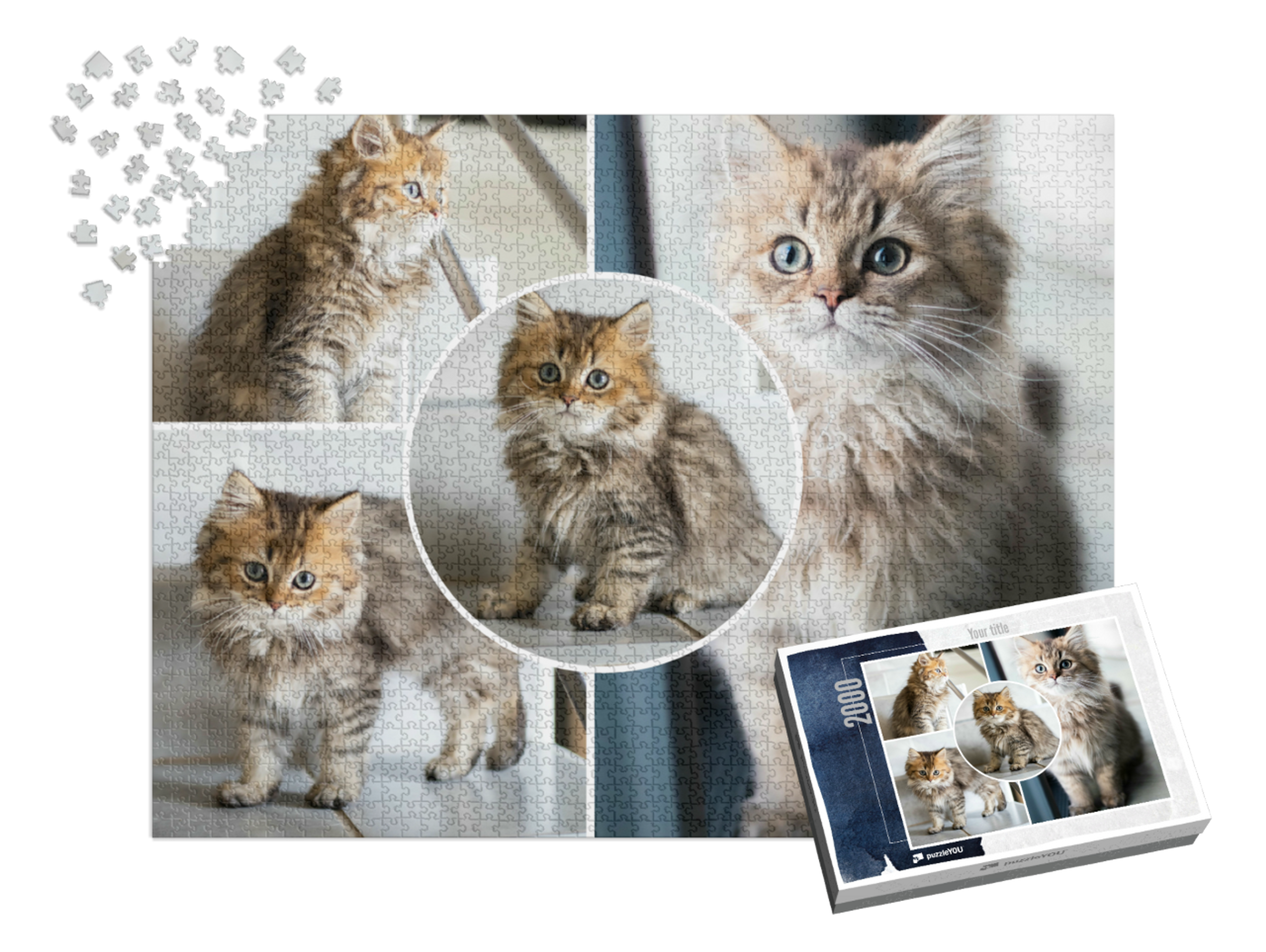 puzzle-2000-usa-2021||pieces-with-box