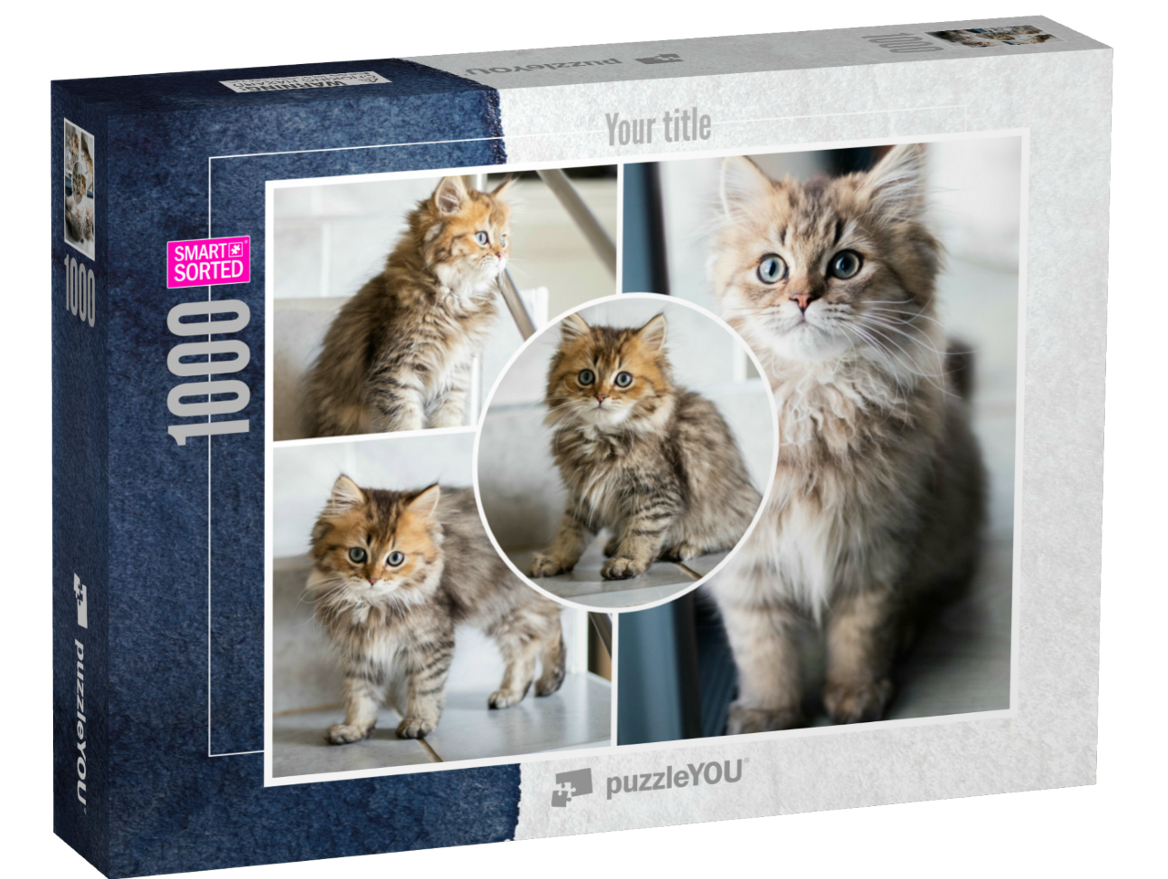 smart-sorted-puzzle-1000||box