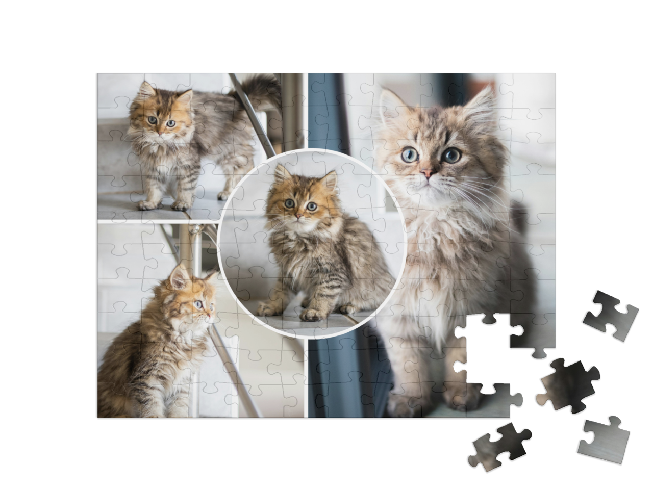 usa_puzzle-100||pieces