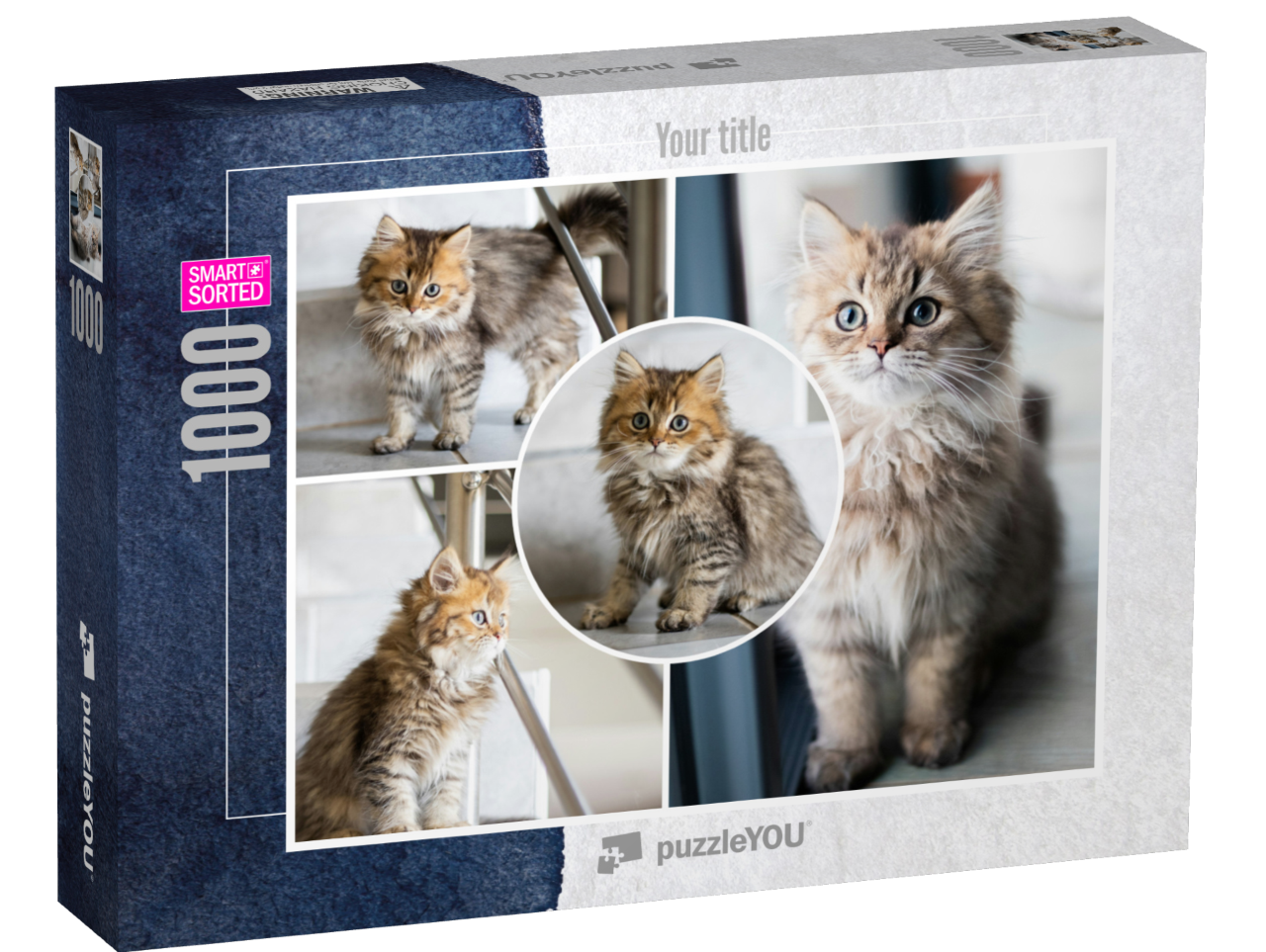 smart-sorted-puzzle-1000||box