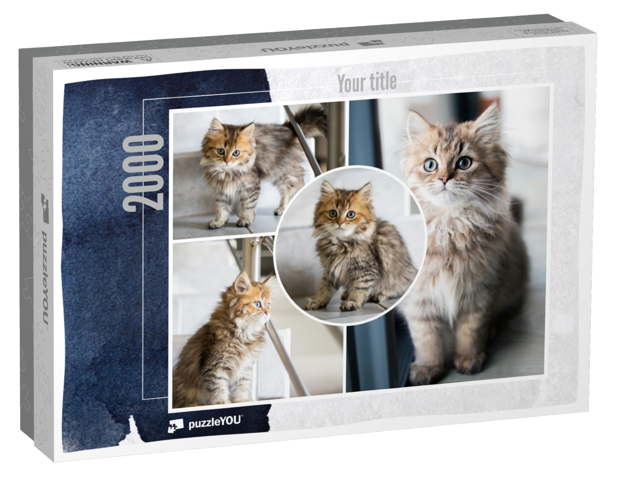 puzzle-2000-usa-2021||box
