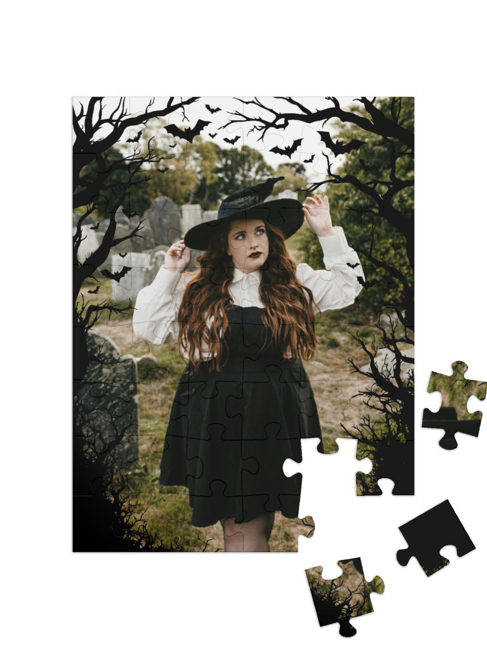 usa_puzzle-48||pieces