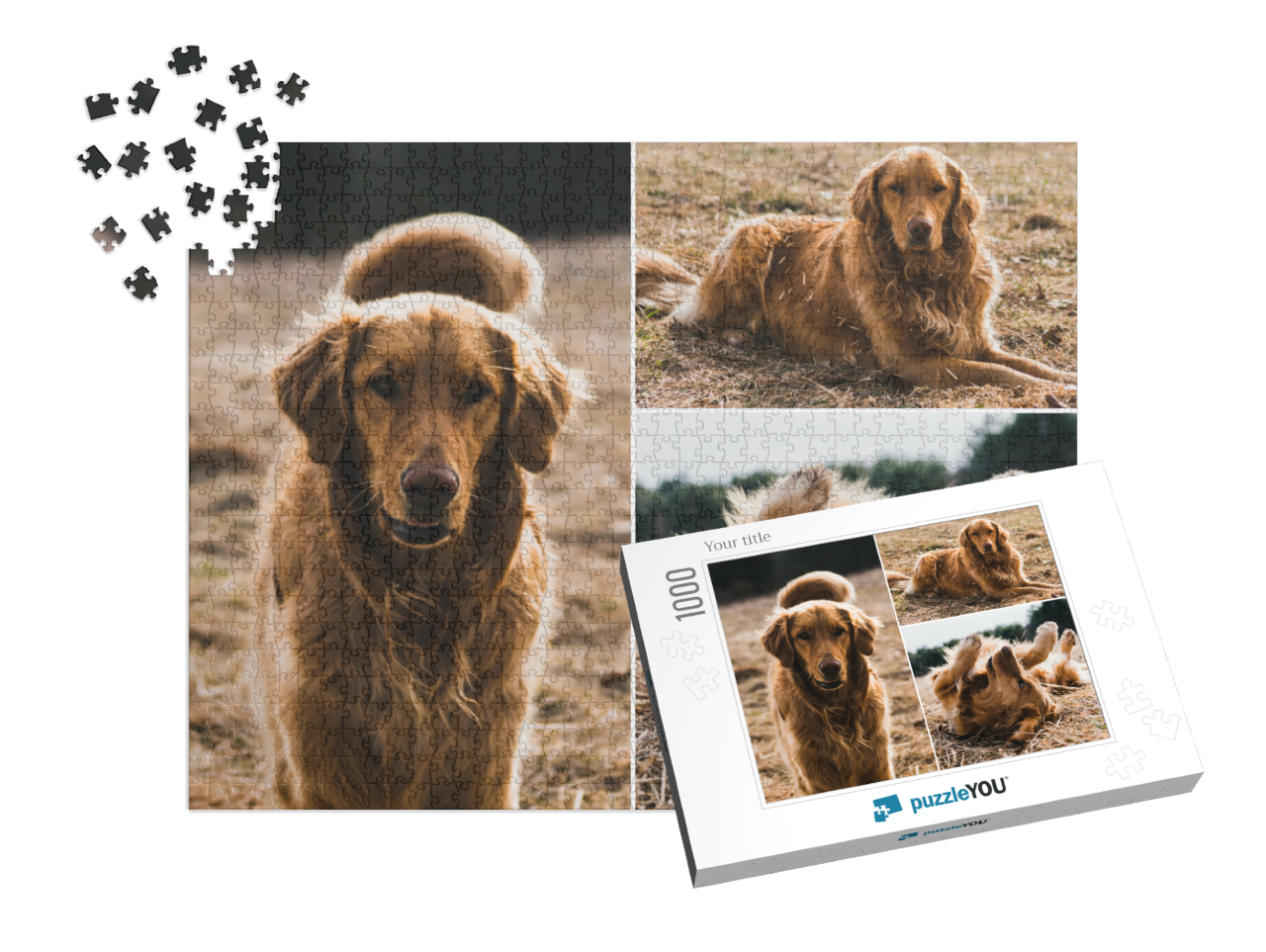 puzzle-1000-box-small||pieces-with-box