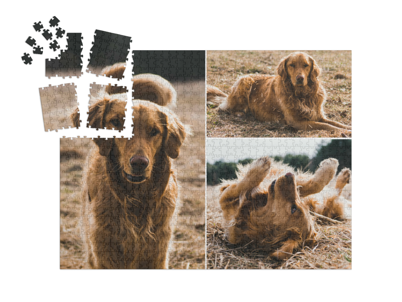 smart-sorted-puzzle-1000-advent-calendar||pieces