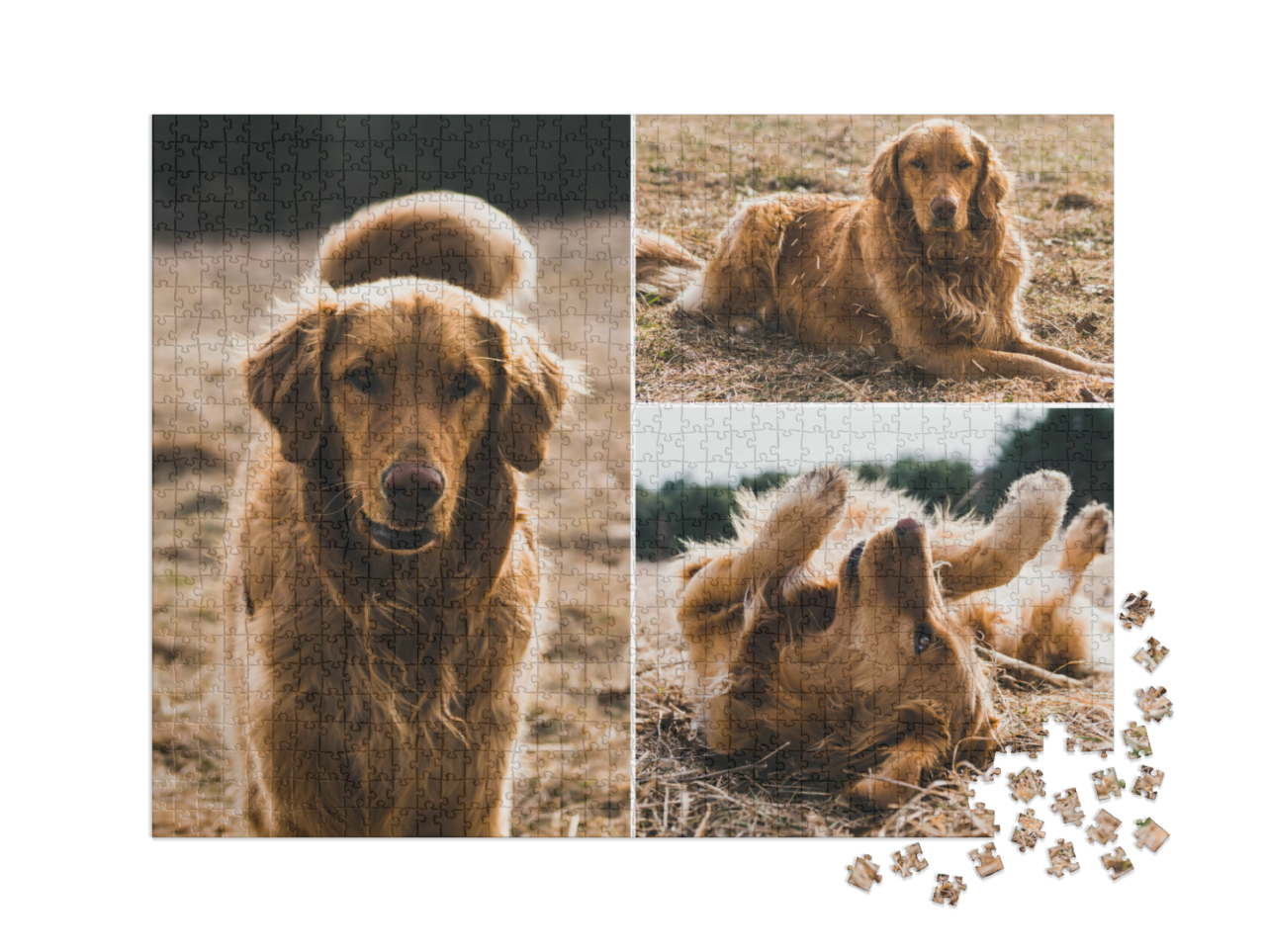 puzzle-1000-xxl-usa-2023||pieces