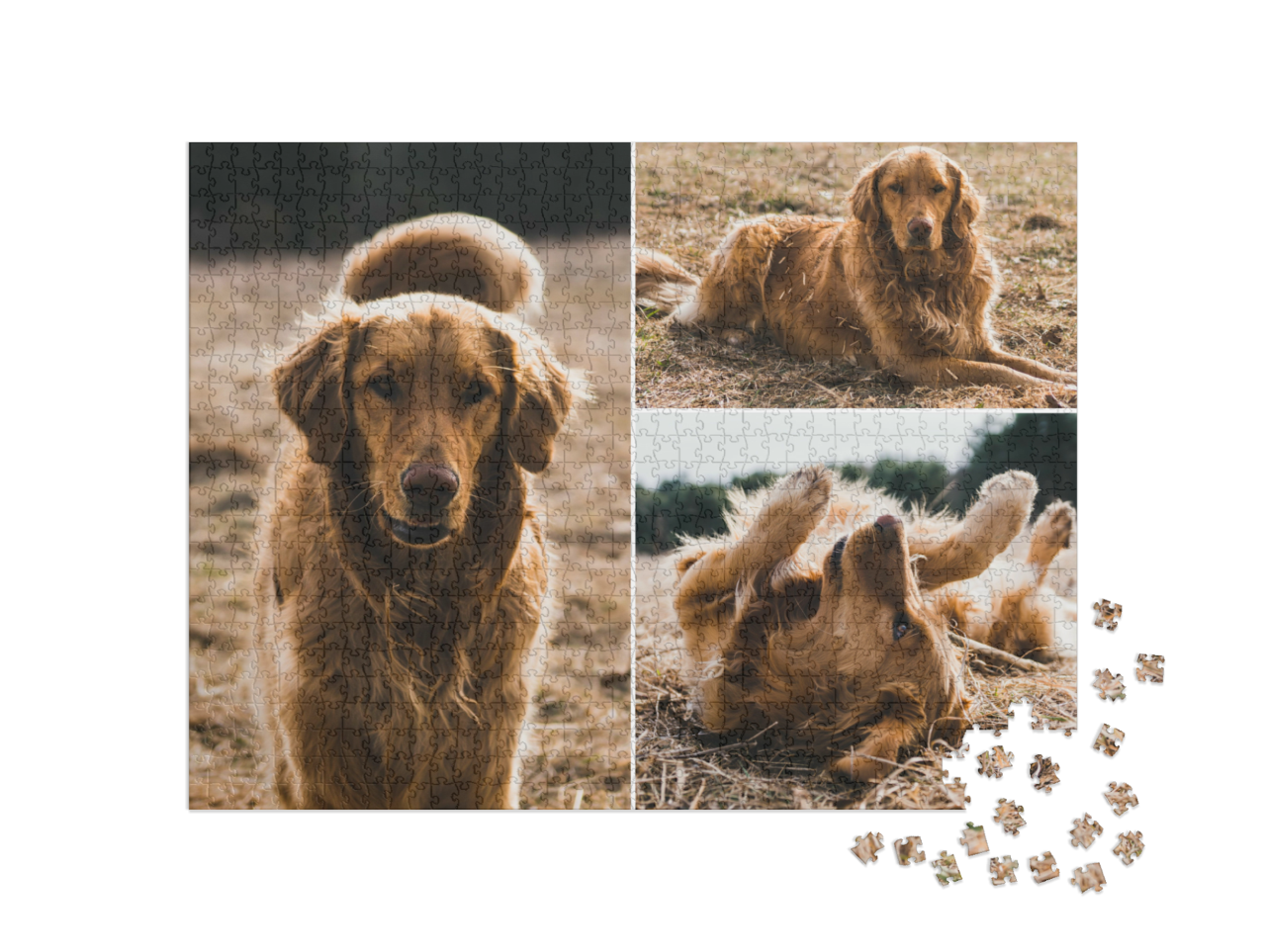 puzzle-1000-box-small||pieces