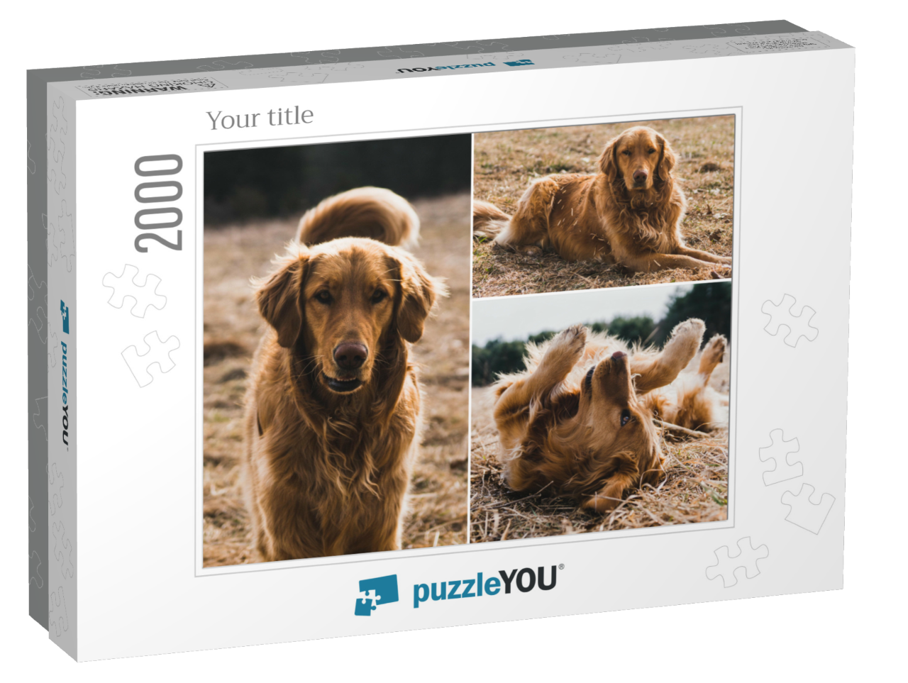 puzzle-2000-usa-2021||box
