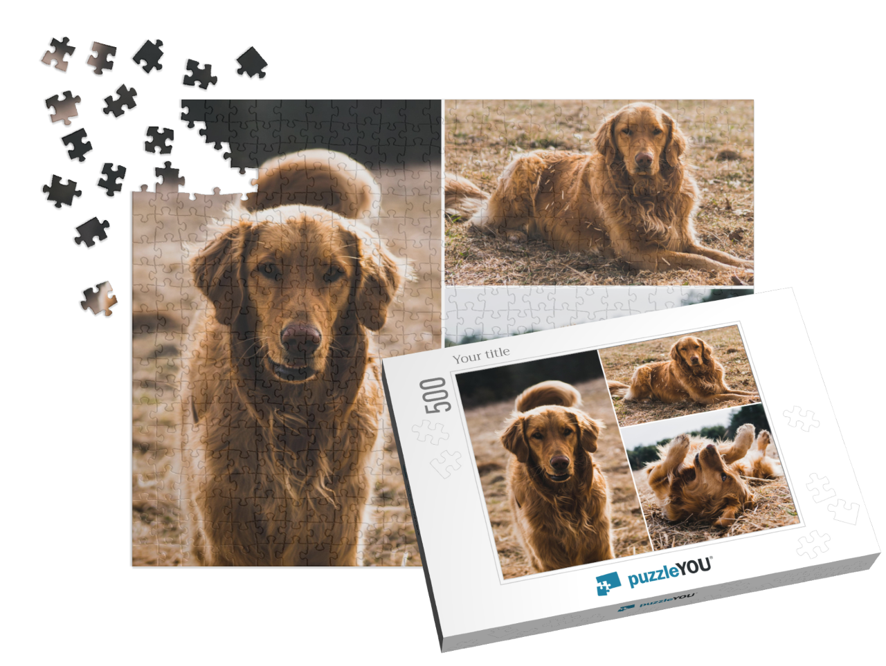 puzzle-500||pieces-with-box