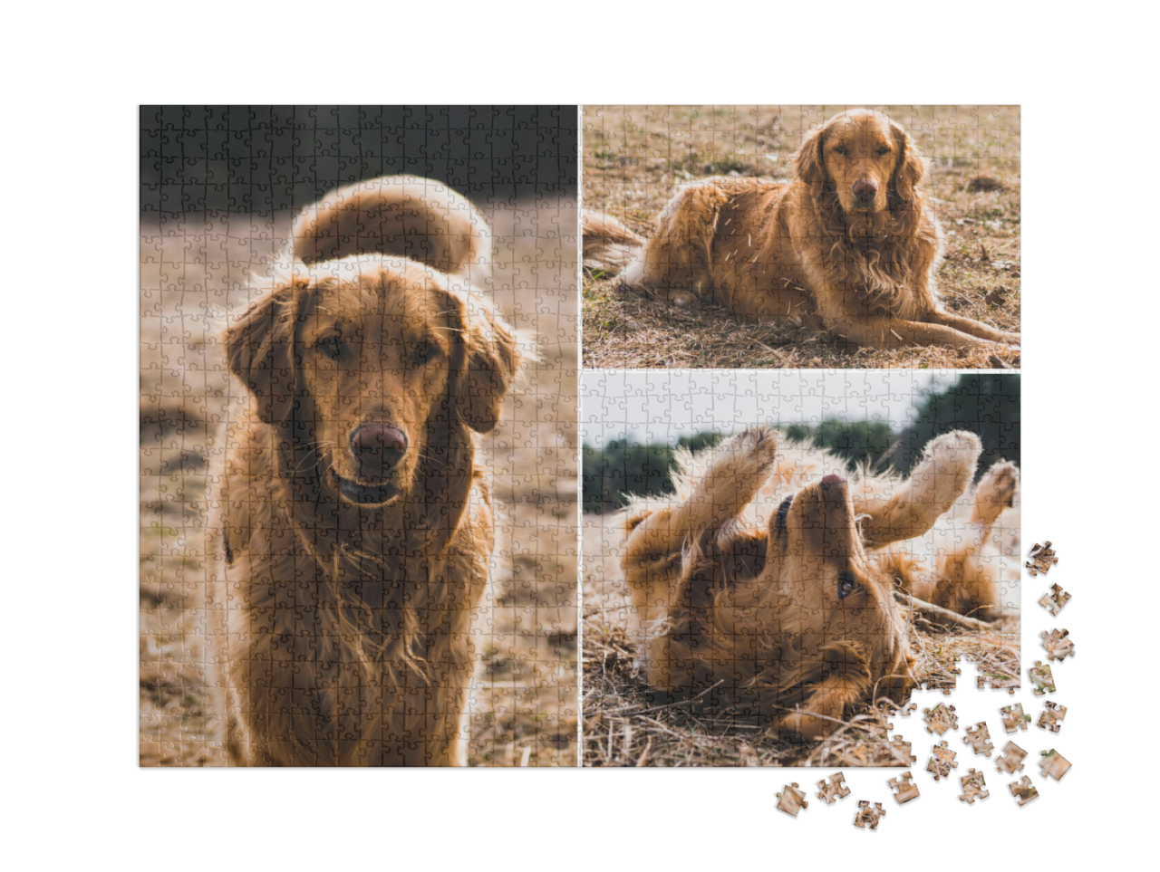 puzzle-1000-xxl-usa-2023||pieces