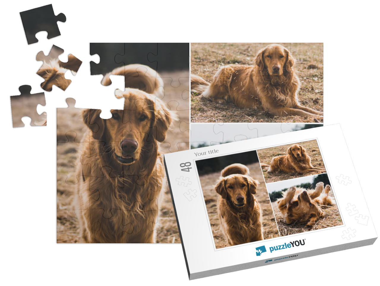 puzzle-48||pieces-with-box