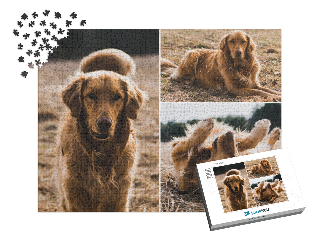 puzzle-2000-usa-2021||pieces-with-box