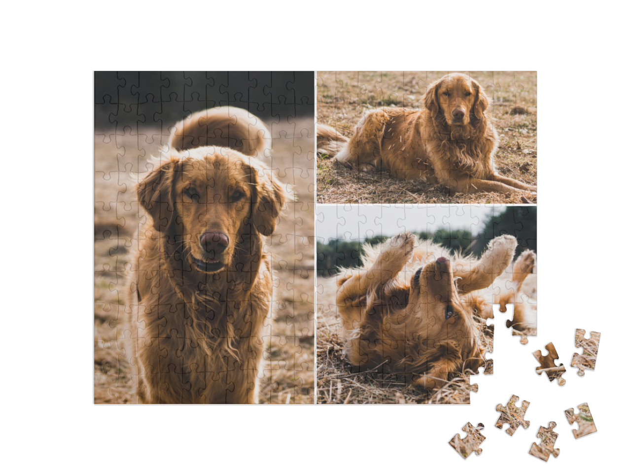 usa_puzzle-200||pieces
