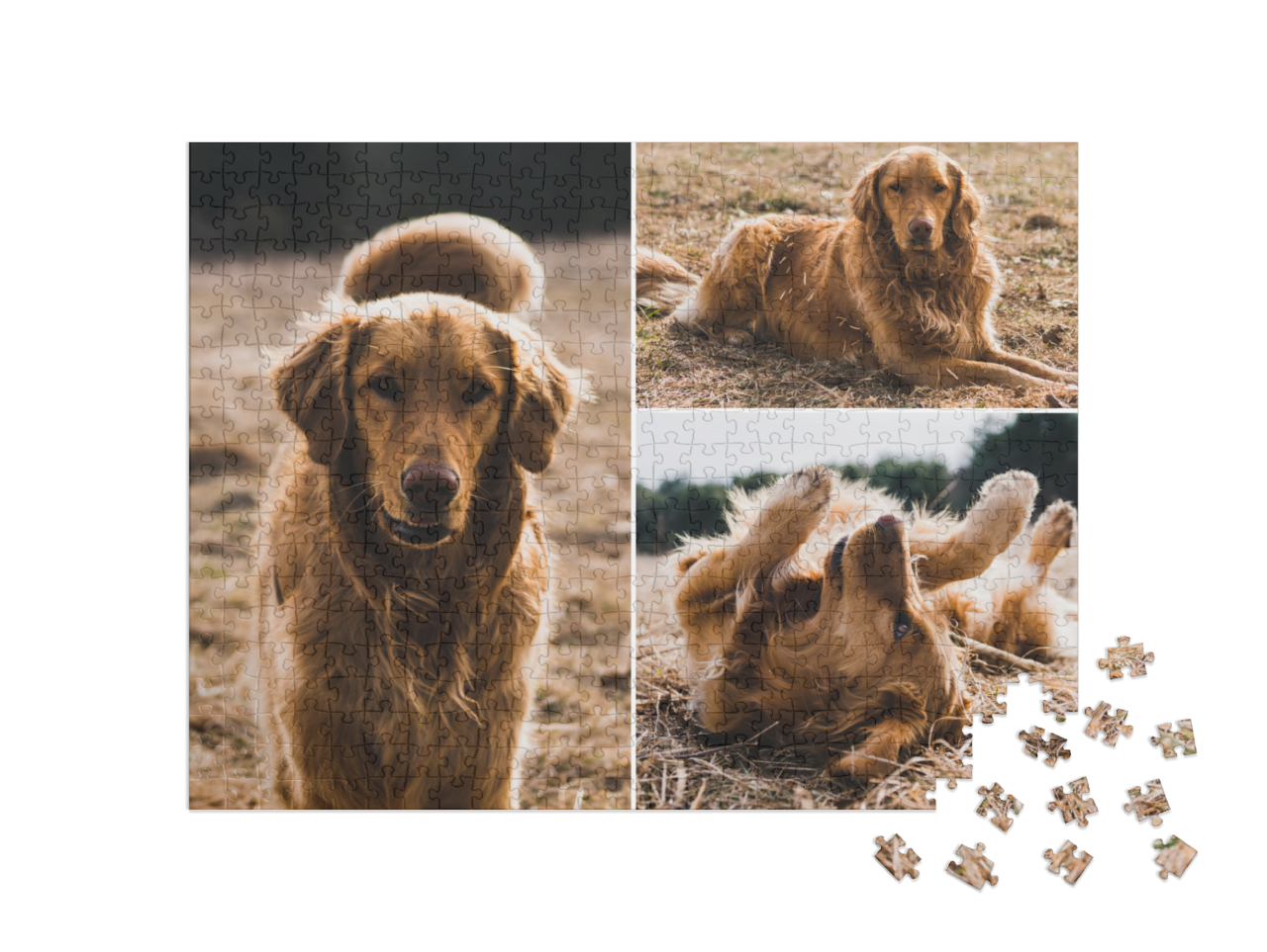 usa_puzzle-500||pieces
