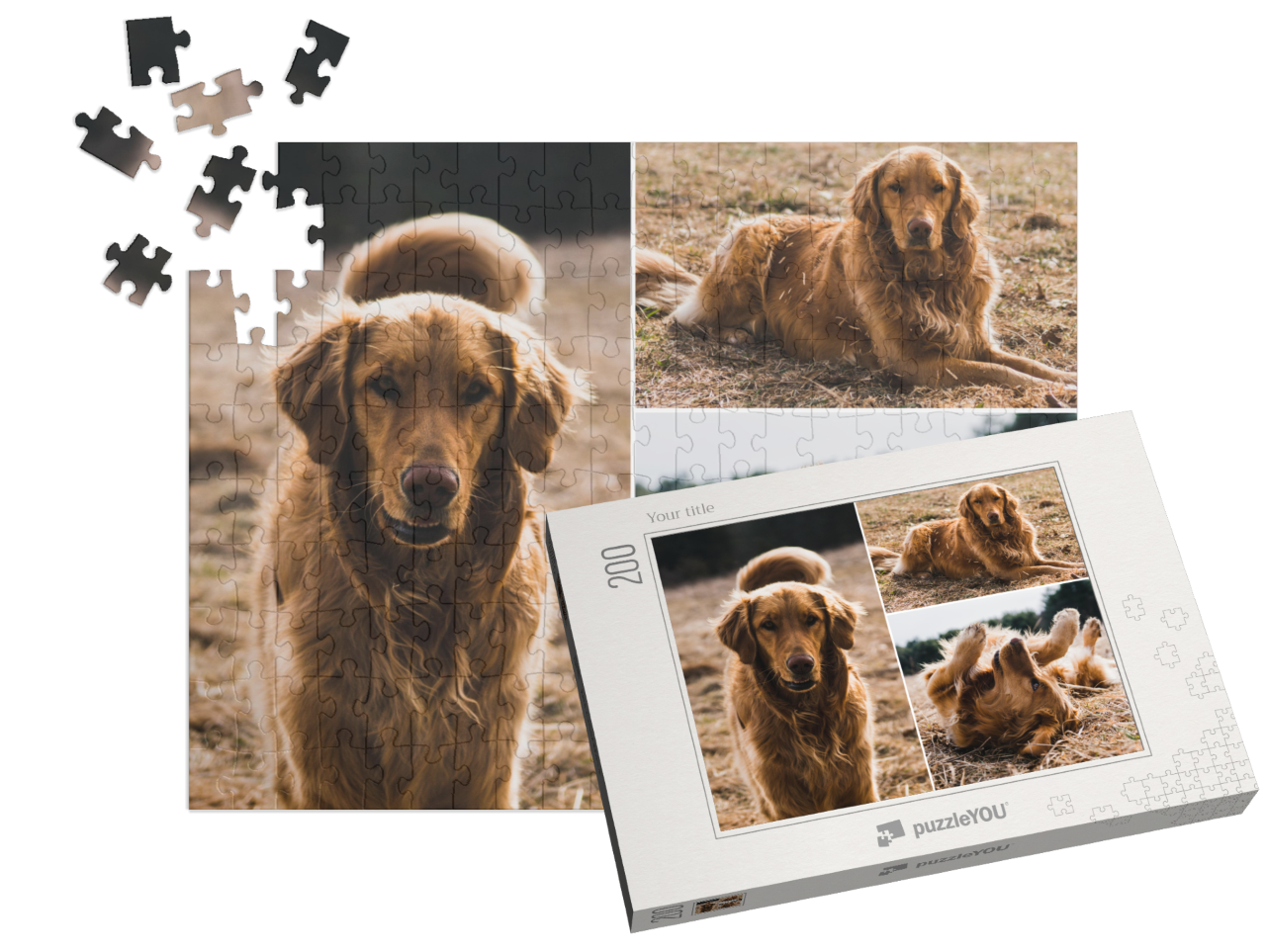 theme-puzzle-children-200||pieces-with-box