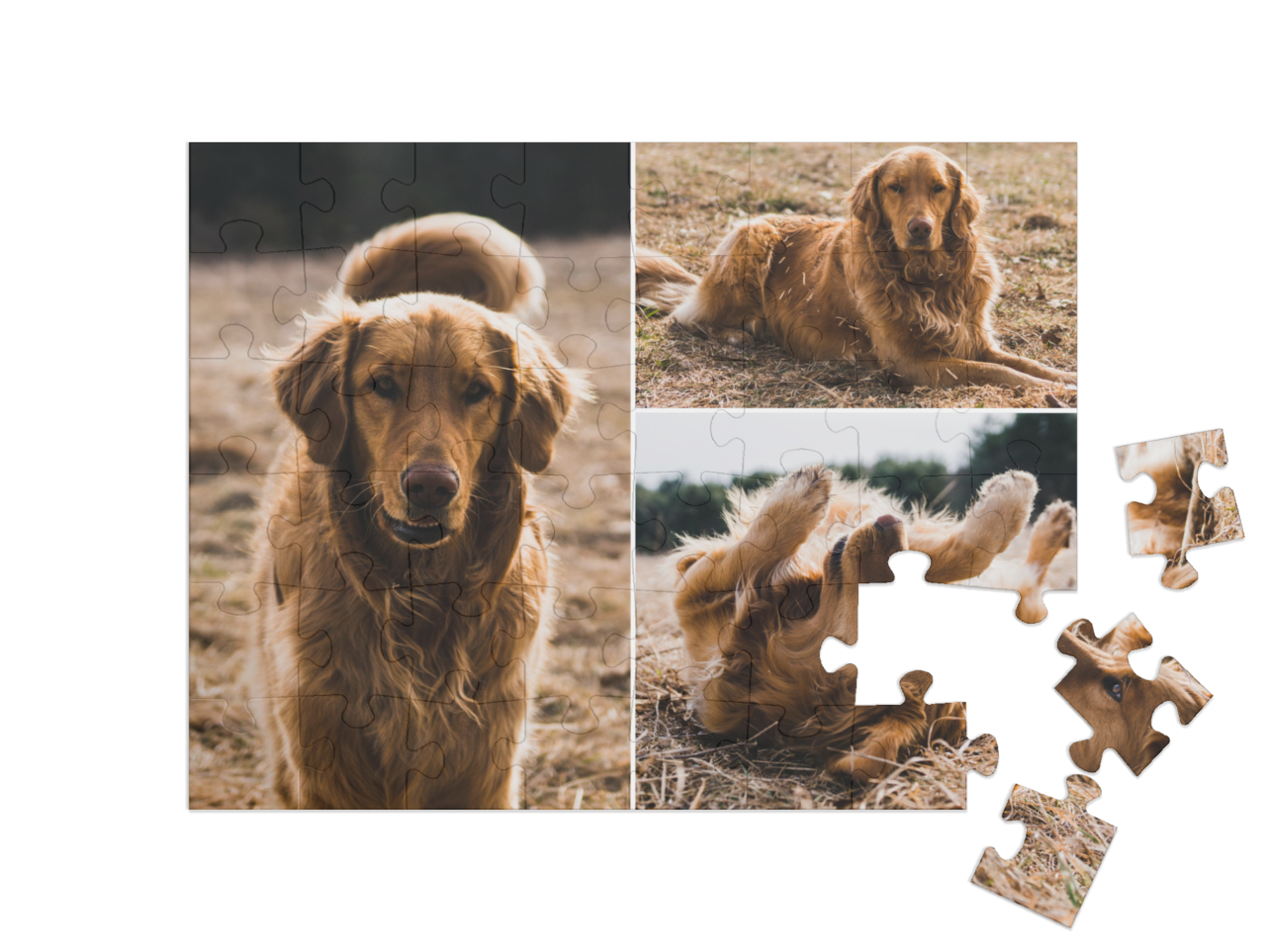 theme-puzzle-children-48||pieces