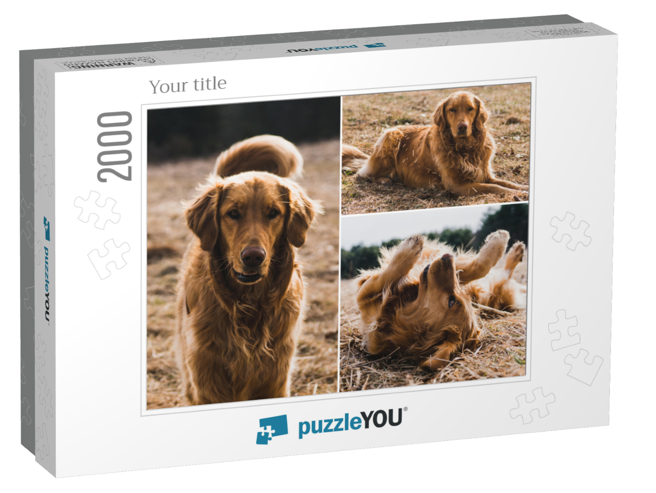 puzzle-2000-usa-2021||box