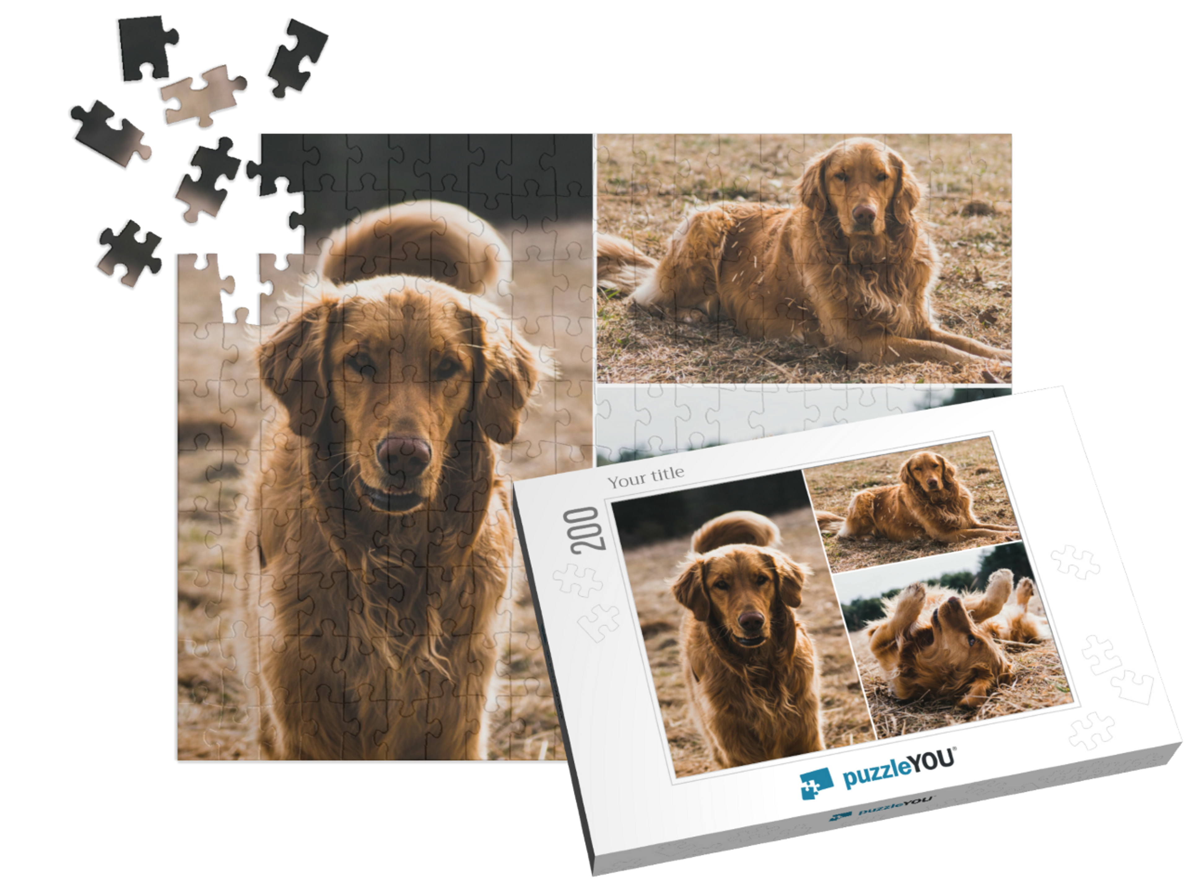 puzzle-200||pieces-with-box