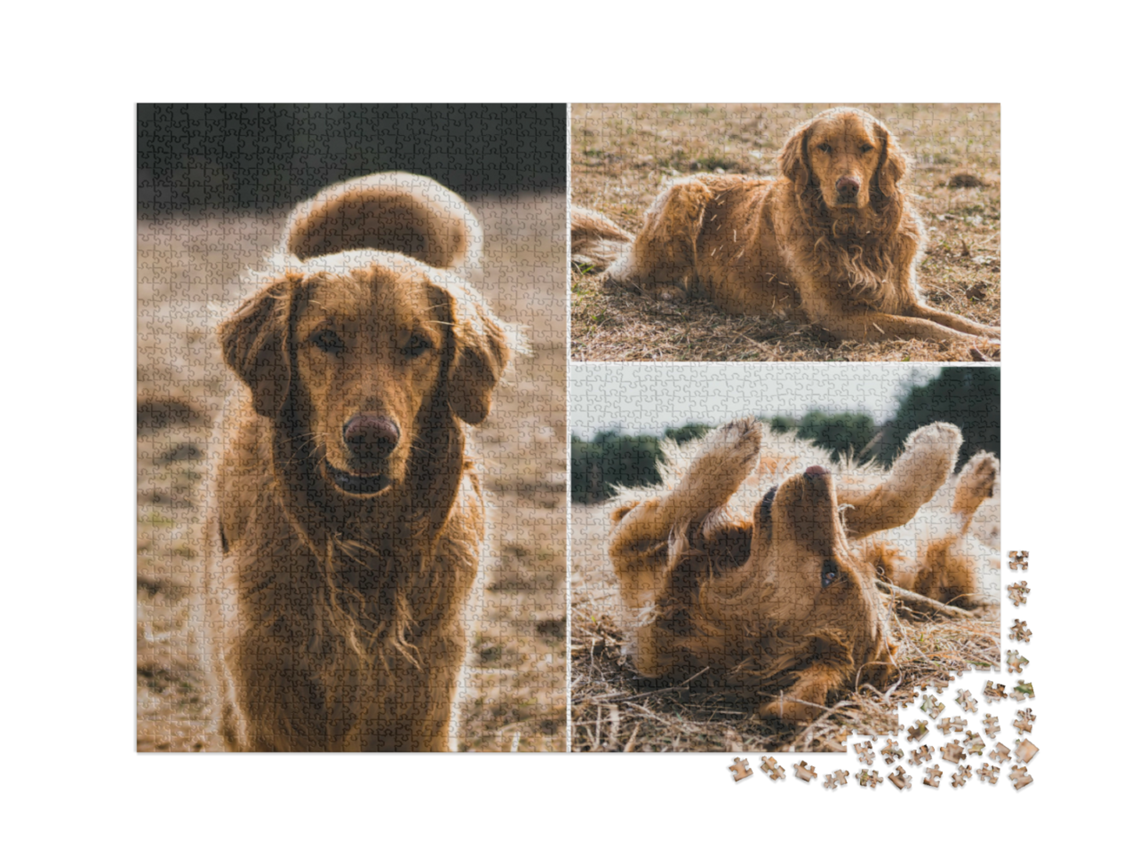 puzzle-2000-usa-2021||pieces