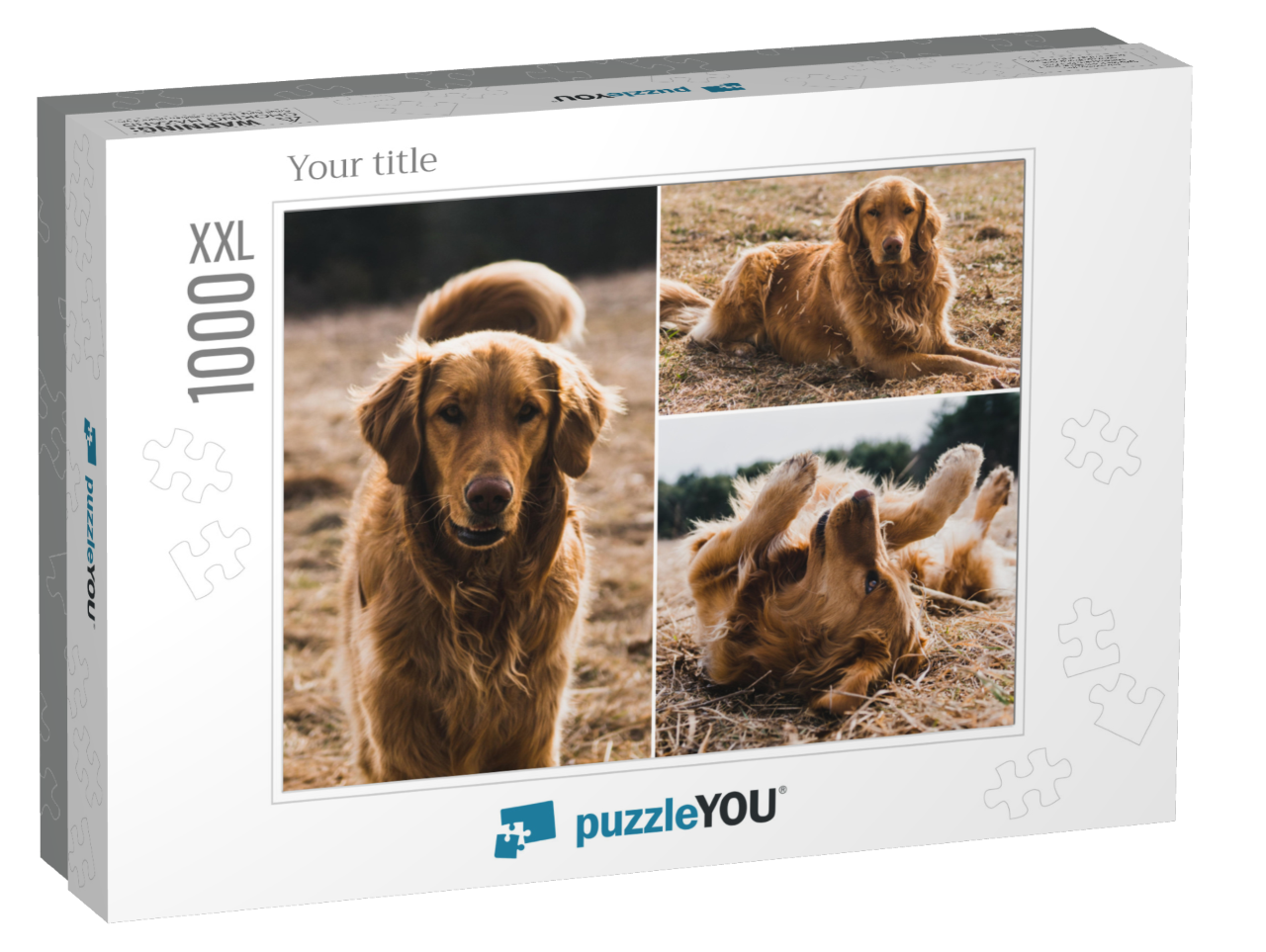 puzzle-1000-xxl-usa-2023||box