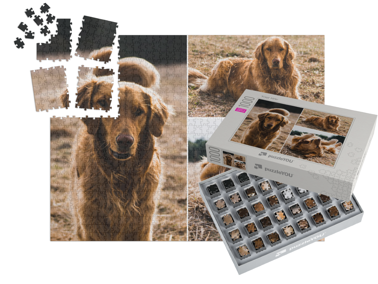 smart-sorted-puzzle-1000||pieces-with-box
