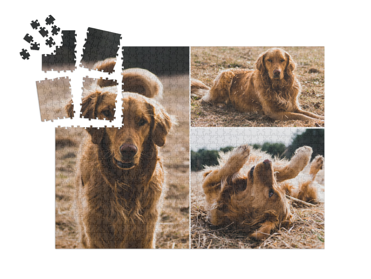 smart-sorted-puzzle-1000-advent-calendar||pieces